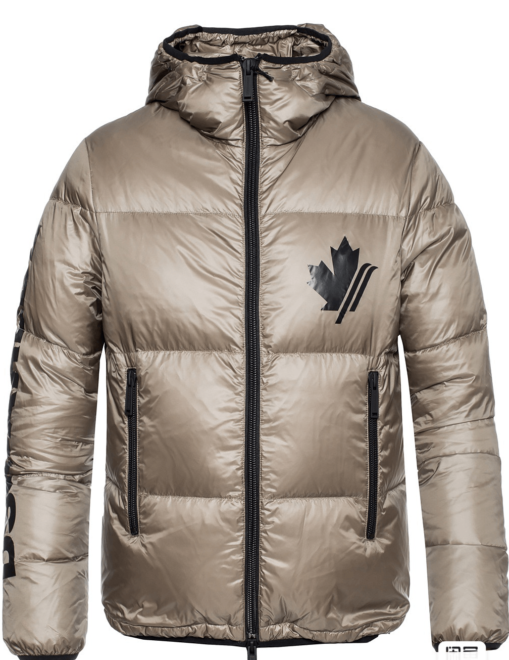 Image of Dsquared2 Down Jacket, Champagne, Chocolate Size 44 in Champagne/Chocolate, Men's