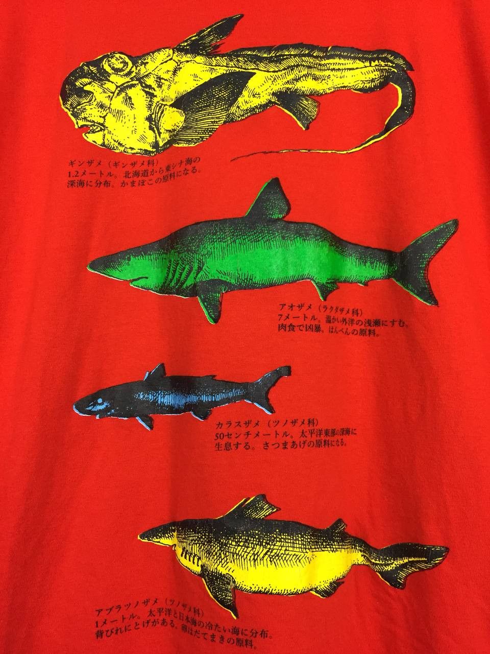 Japanese Brand Panpanya Official Ashizuri Aquarium Shark Encyclopedia Tee Size US L / EU 52-54 / 3 - 4 Thumbnail
