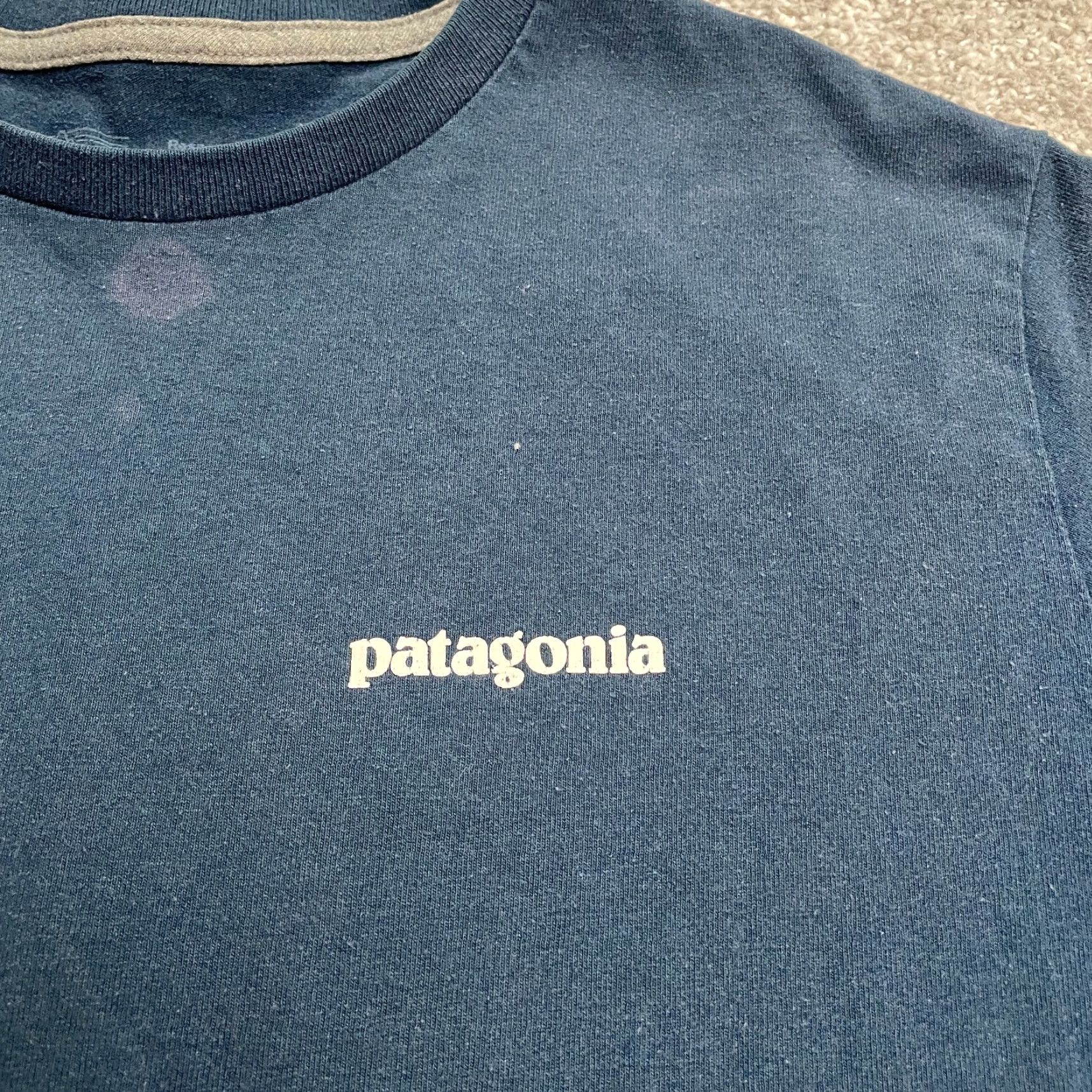 Patagonia Patagonia Responsibili Tee T-Shirt Men Small Blue Short Sleeve Crew Neck Size US S / EU 44-46 / 1 - 5 Thumbnail
