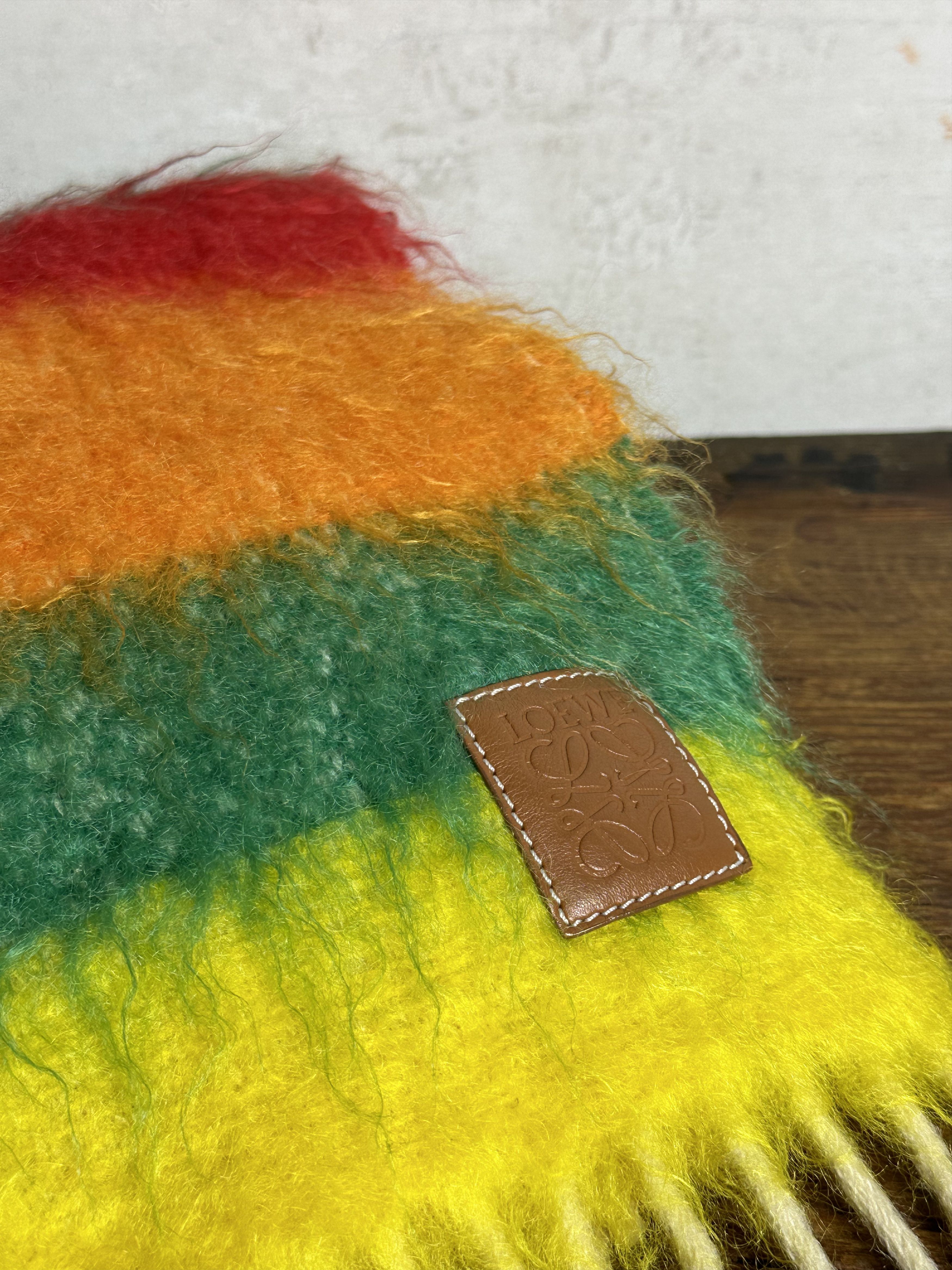 Loewe Loewe Striped Fringed Scarf in Multicolor Mohair Size ONE SIZE - 2 Thumbnail