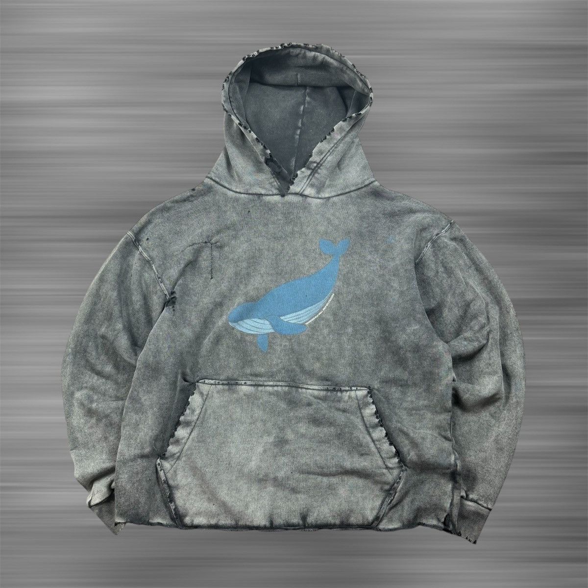 Balenciaga Balenciaga ‘19’ IUCN Blue Whale Hoodie Size US M / EU 48-50 / 2 - 1 Thumbnail