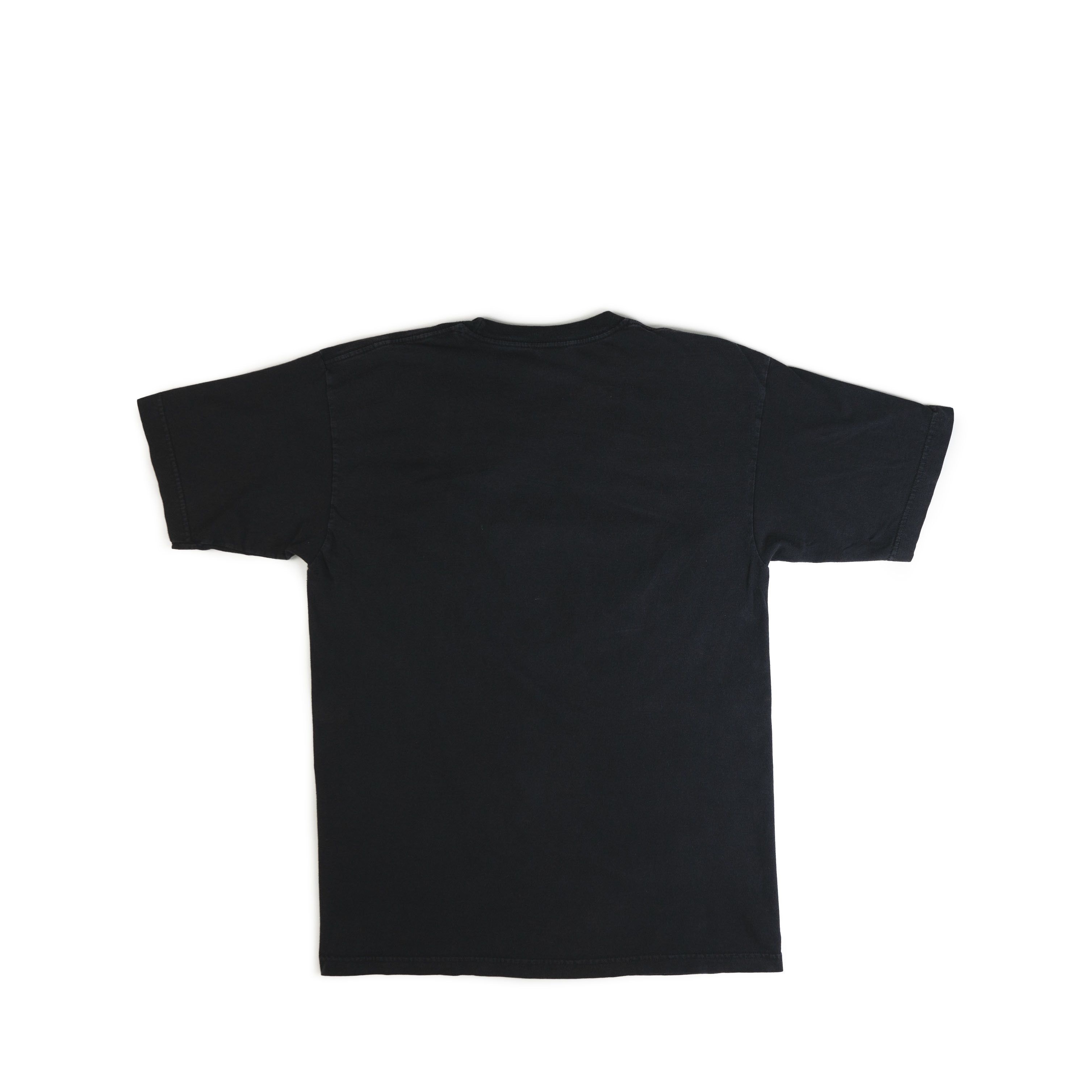 Vintage 2000's Pearl Jam Backspacer Tee Shirt