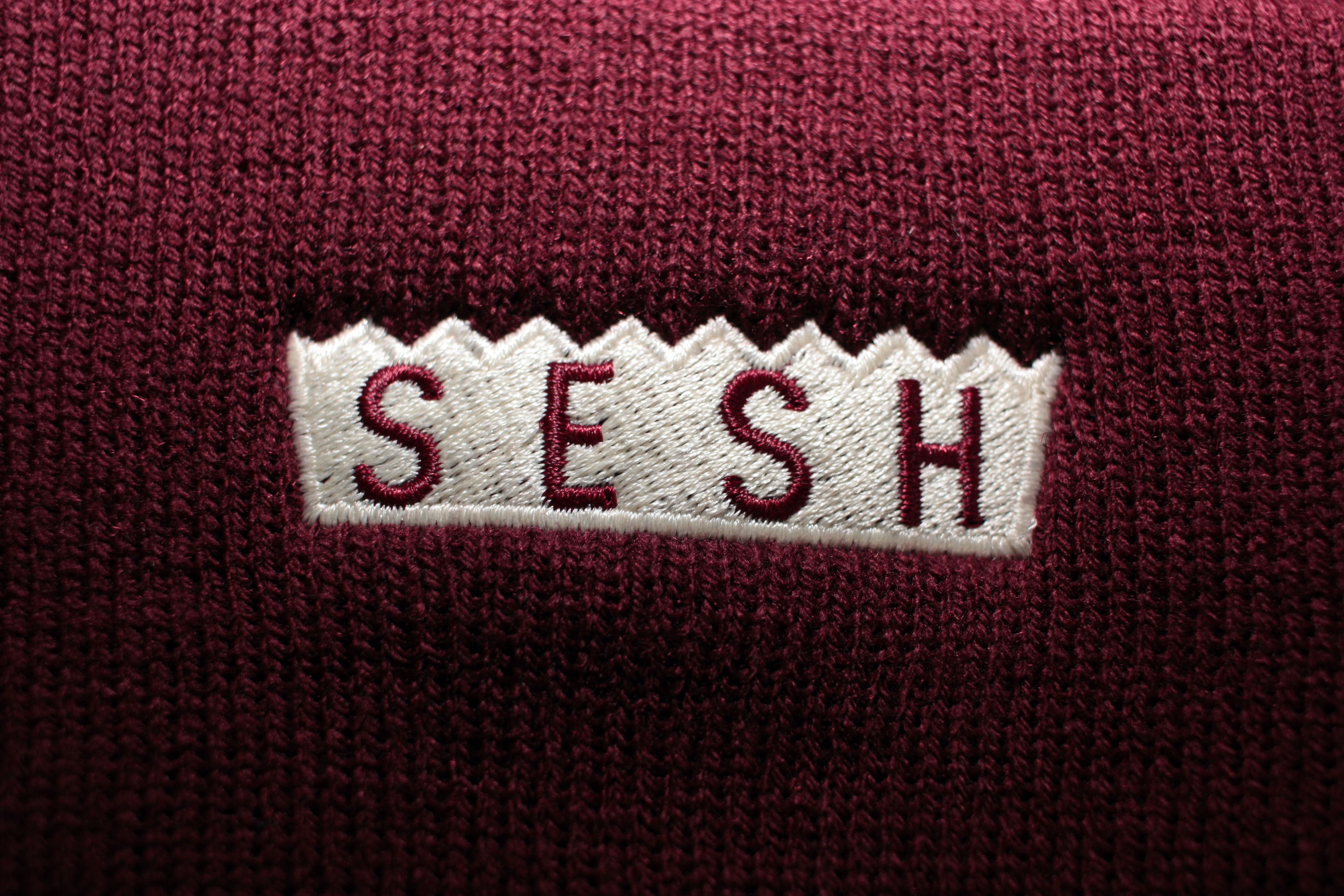 Bones TeamSESH 'SimpleSesh' Embroidered Beanie (Maroon) Size ONE SIZE - 4 Thumbnail