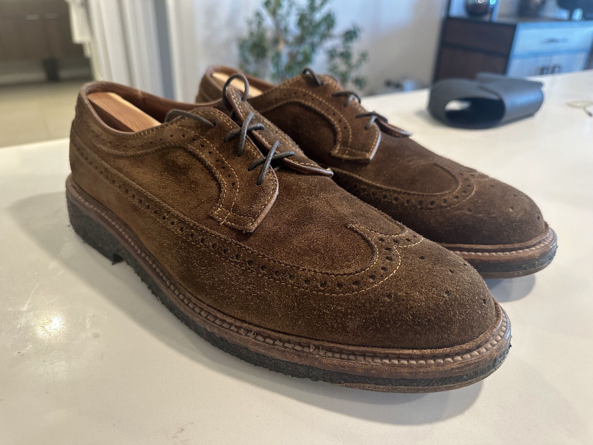 Alden Alden Snuff Suede Long Wing Blucher | Grailed