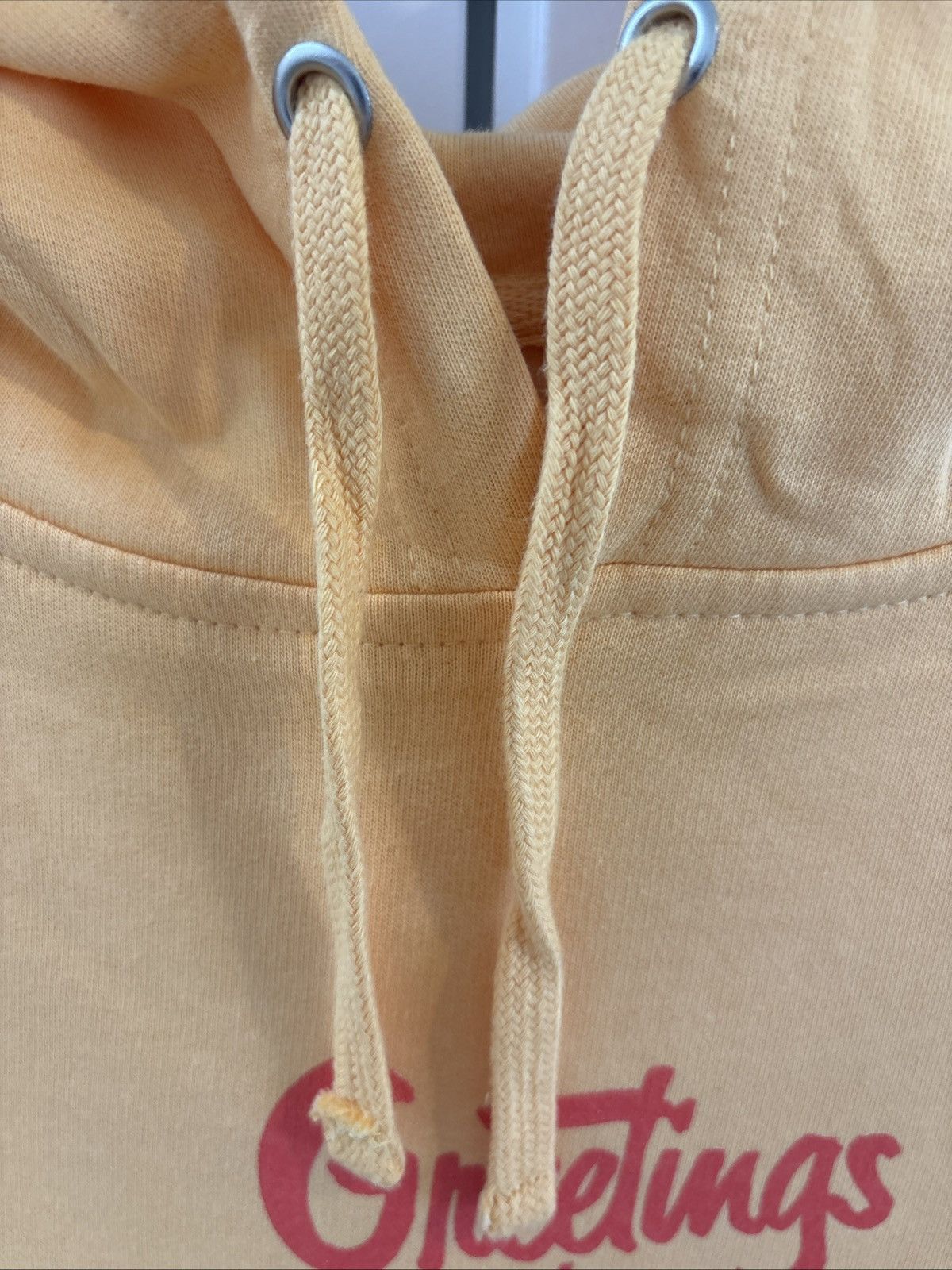 Other Barenaked Ladies 2023 Hoodie Greetings From Last Summer XL Size US XL / EU 56 / 4 - 6 Thumbnail