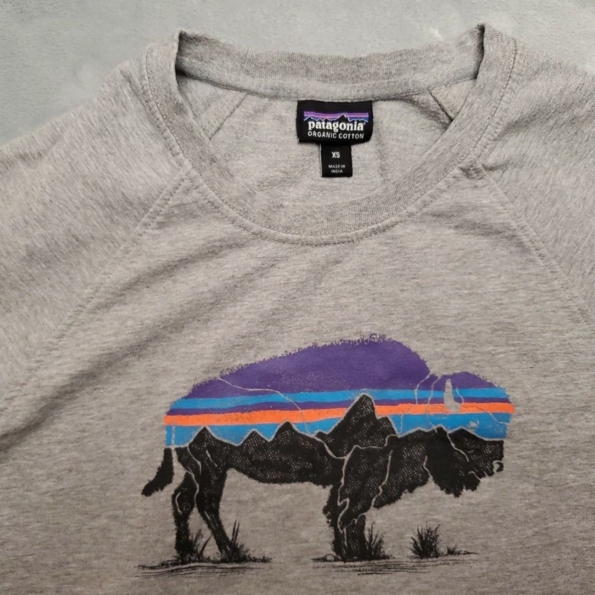 Patagonia VINTAGE Patagonia Sweatshirt Women XS White Fitz Roy Bison Organic Cotton Blend Pullover Size XS / US 0-2 / IT 36-38 - 3 Thumbnail
