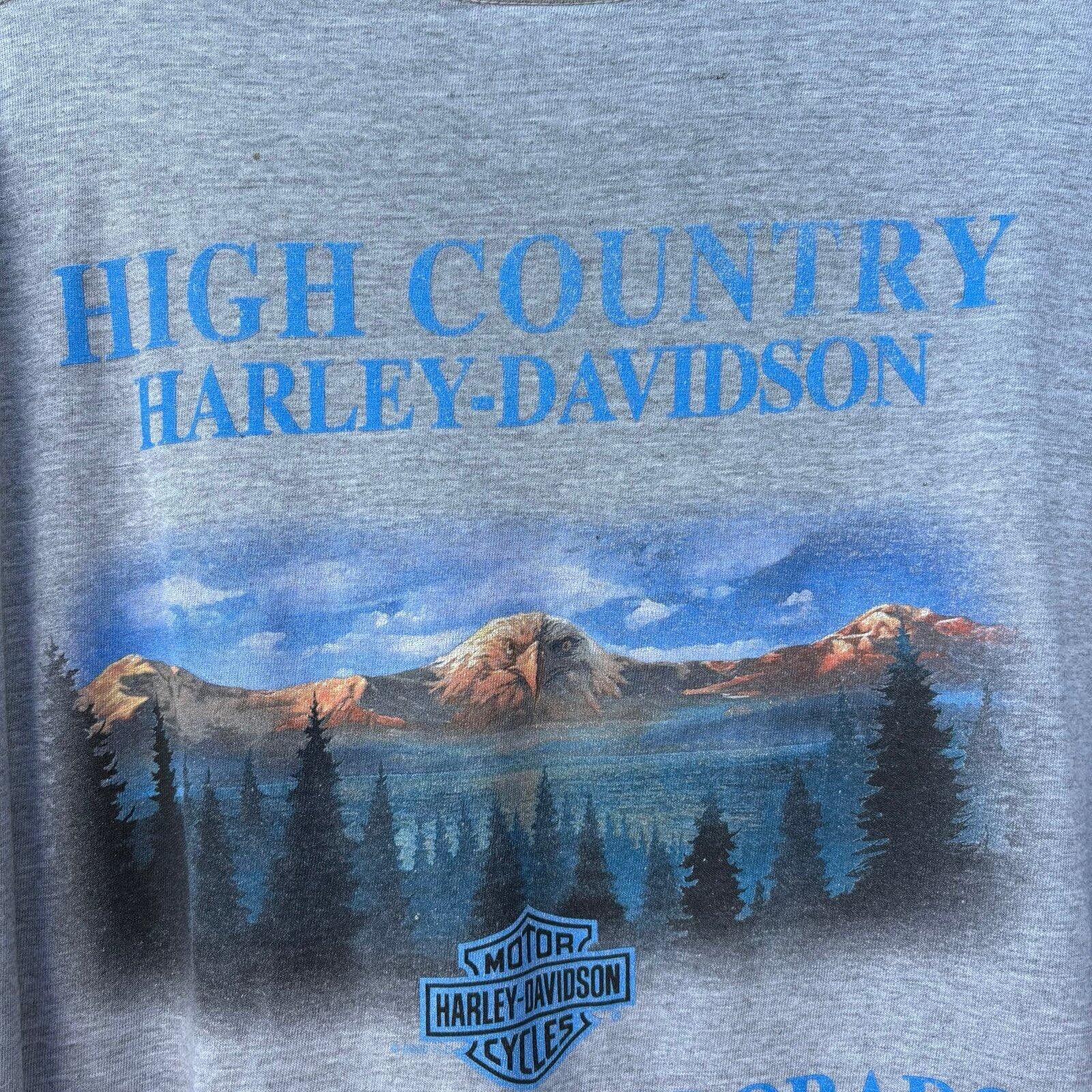 Harley Davidson Vintage Harley-Davidson faded T-shirt Size US L / EU 52-54 / 3 - 8 Thumbnail
