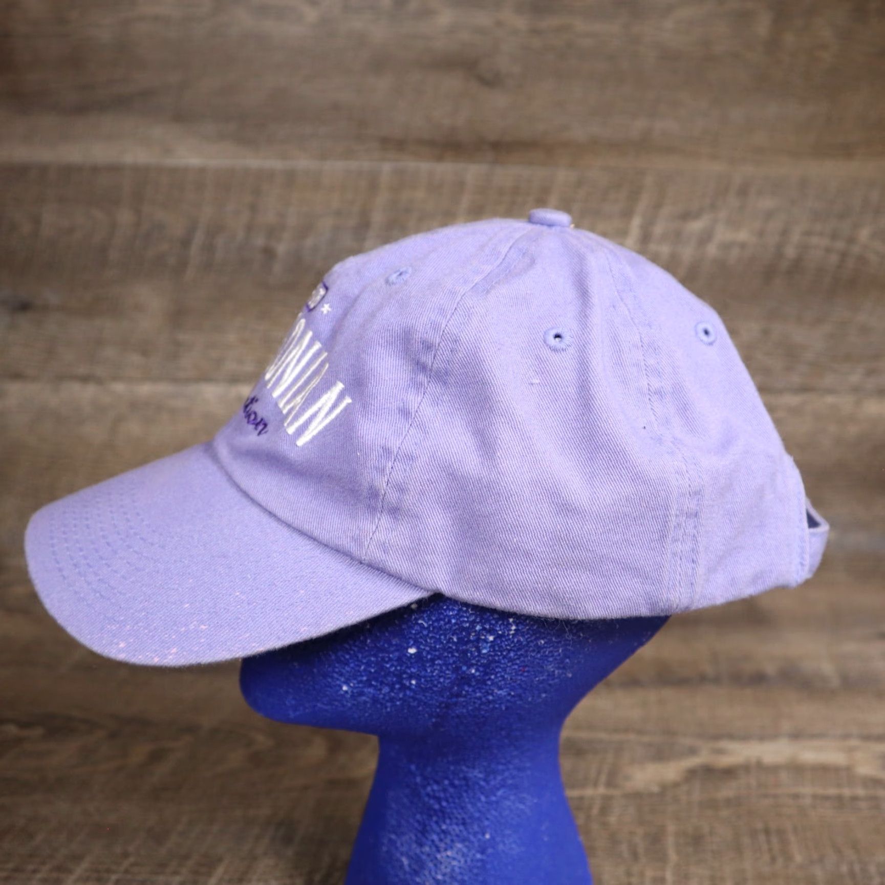 Vintage Smithsonian Institution Baseball Cap Ladies Purple Adjustable Hat Purple Size ONE SIZE - 5 Thumbnail