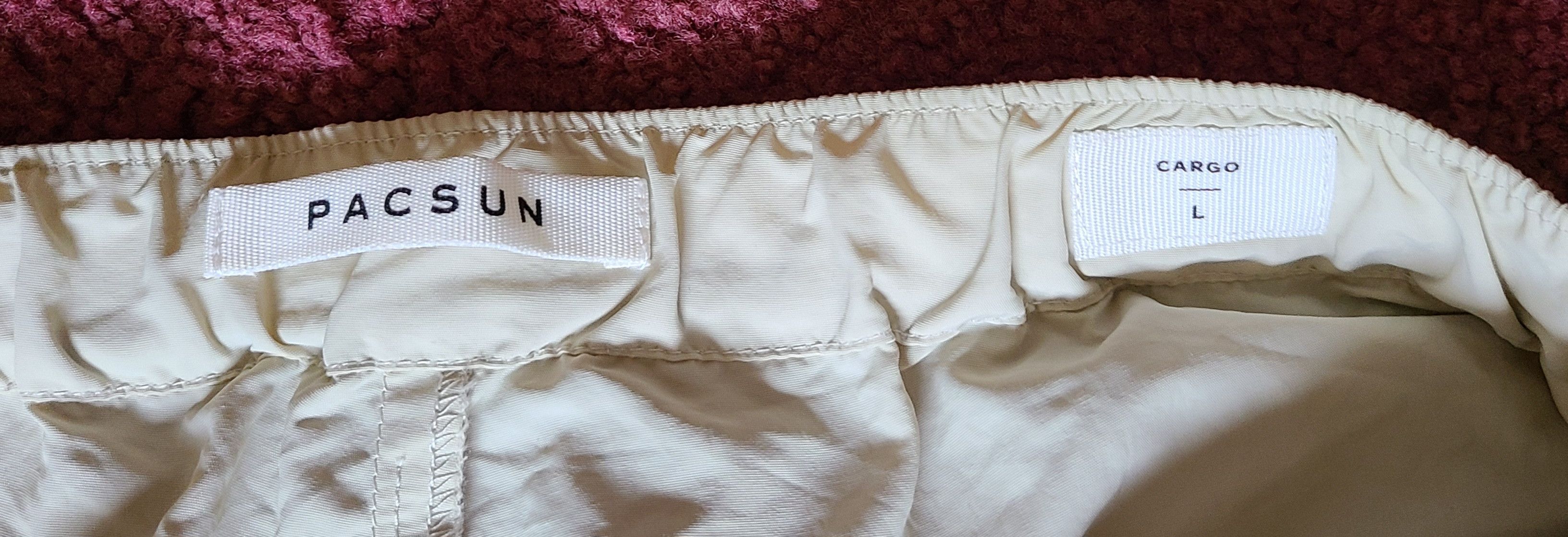 Pacsun Pacsun cargo shorts Size US 33 - 2 Thumbnail
