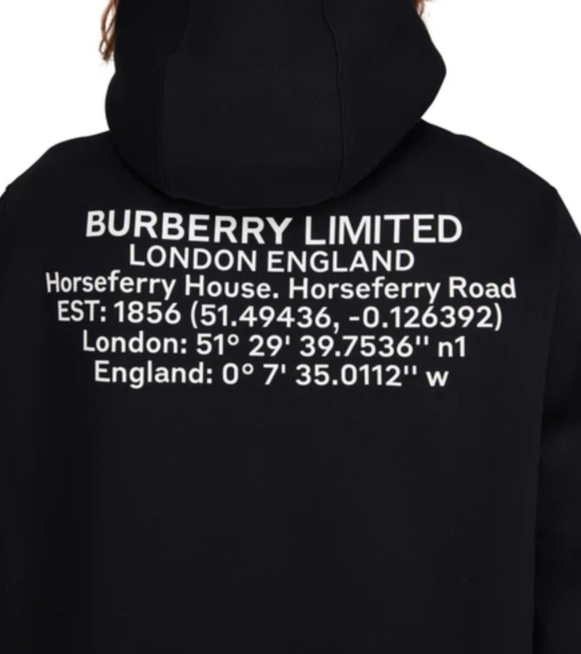 Burberry New Burberry Horseferry Print Hoodie Size US L / EU 52-54 / 3 - 3 Thumbnail
