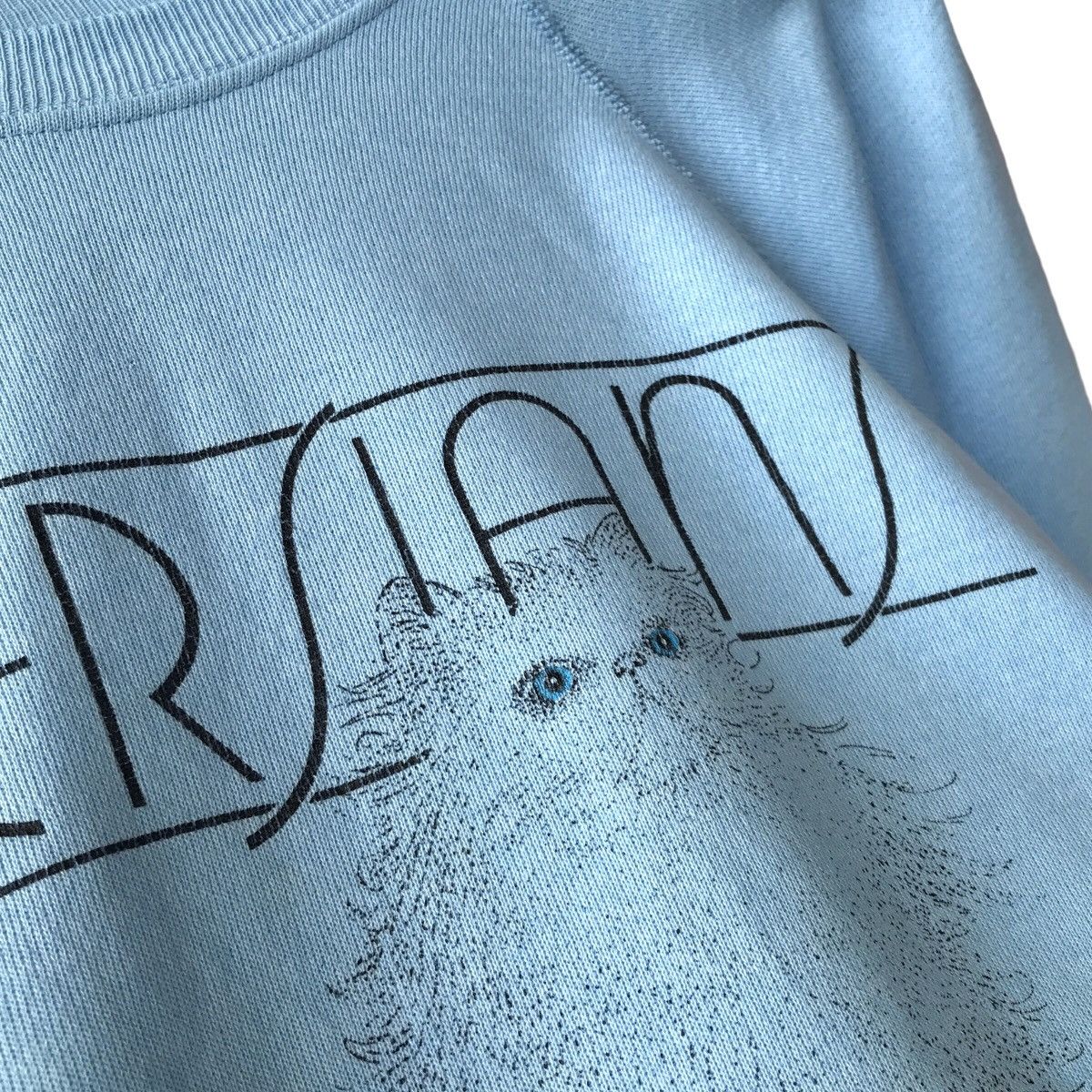 Hanes × Vintage Hanes USA Vintage 1980s Persian Cats Faded Sweatshirt Size US M / EU 48-50 / 2 - 6 Thumbnail