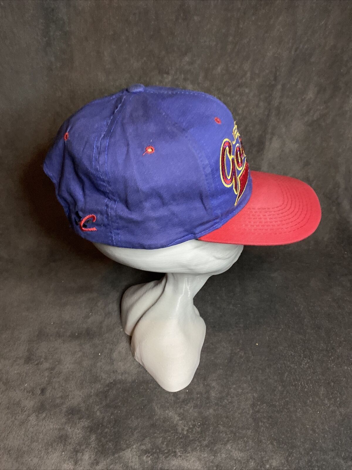 NASCAR Vintage Y2k Jeff Gordon 24 Snapback Hat Chase Authentic Size ONE SIZE - 5 Thumbnail