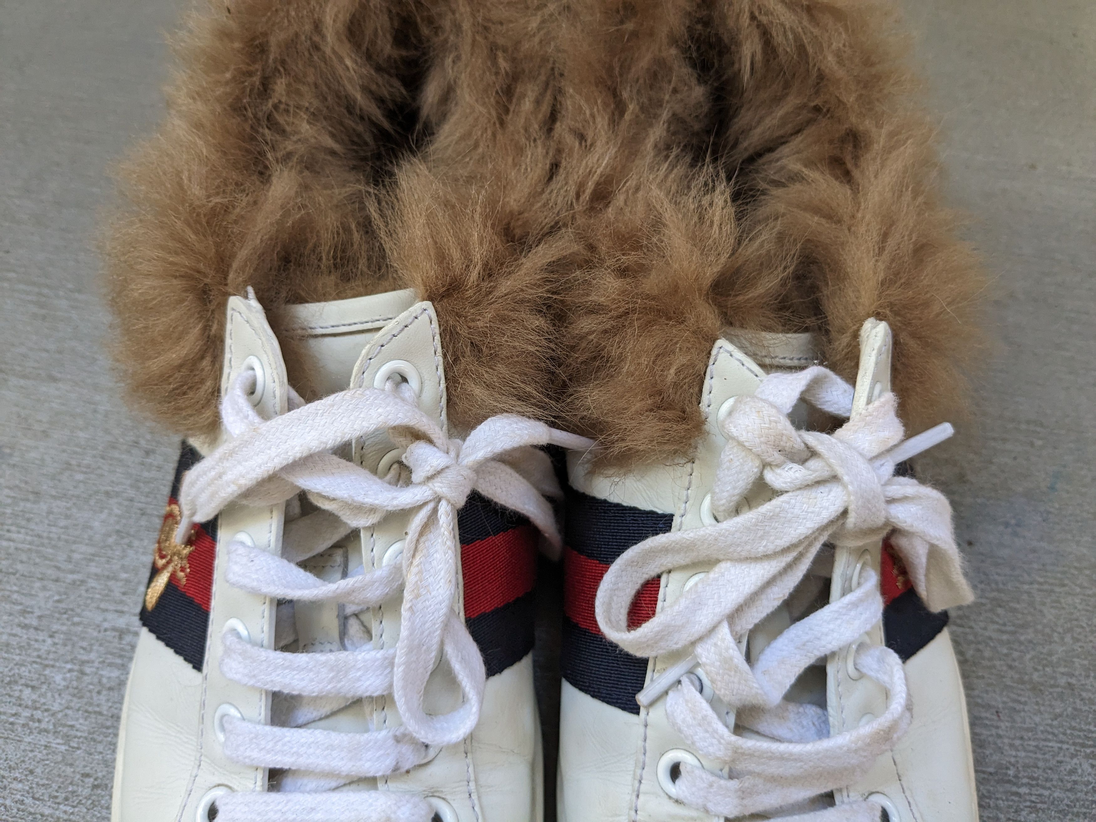 Gucci Women's Gucci Ace Sneakers Bee White 8 Low Top Fur Shearling Size US 8 / IT 38 - 6 Thumbnail