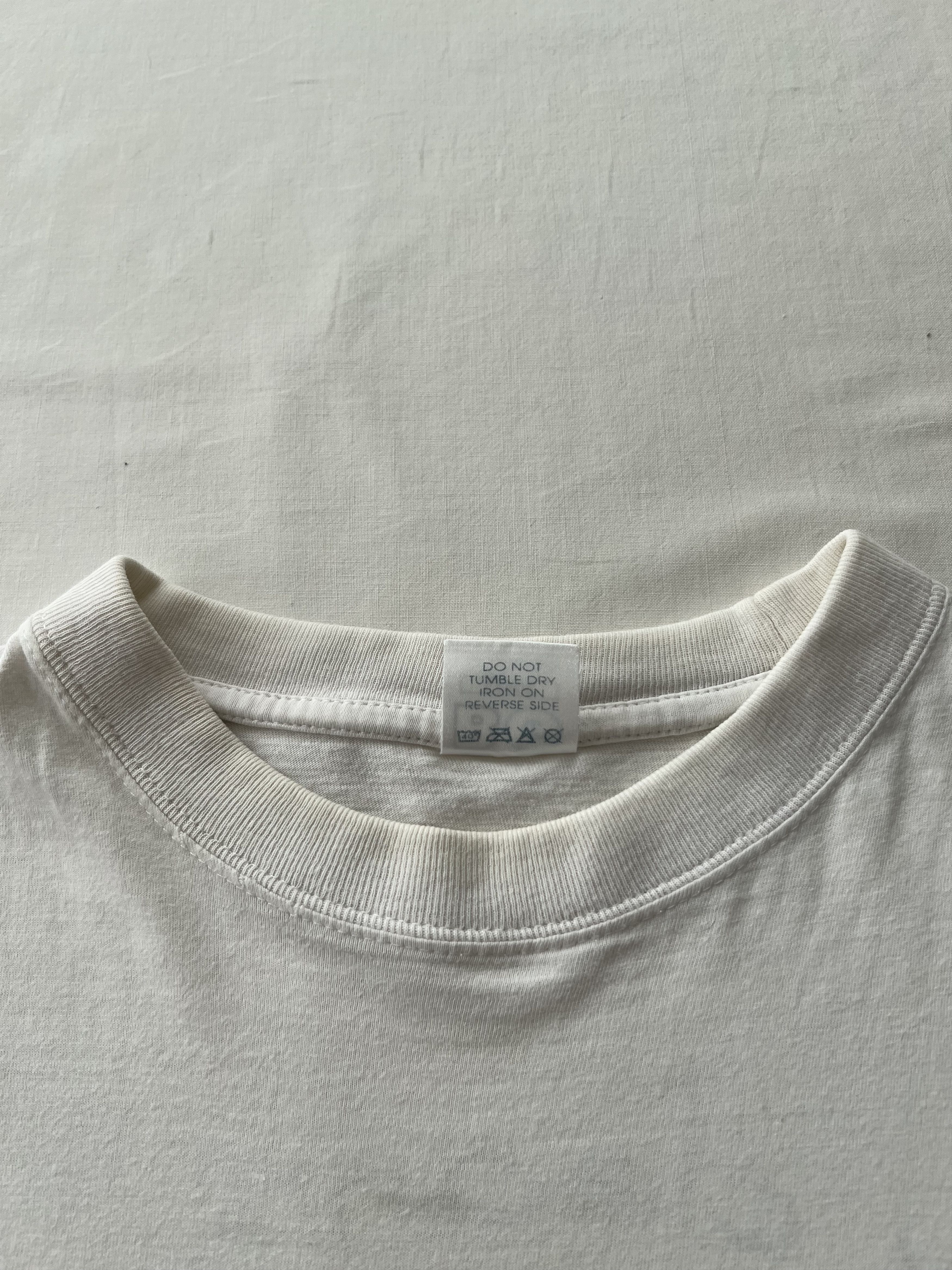 Band Tees Vintage 2000 Steve Earle Transcendental Blues White T-shirt Size US L / EU 52-54 / 3 - 12 Thumbnail
