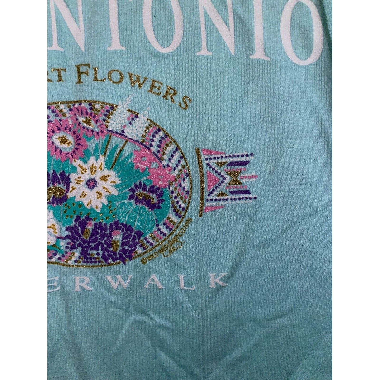 Jerzees Vintage Riverwalk Shirt San Antonio Desert Flower Tee 90s L Size US L / EU 52-54 / 3 - 4 Thumbnail