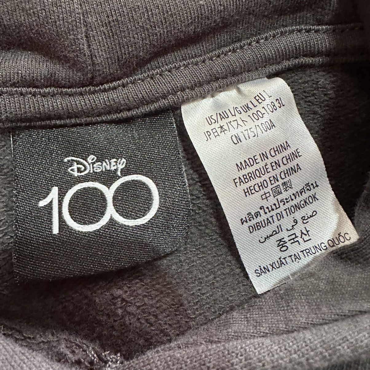 Disney Disney 100 Walt Disney’s Disneyland Tinkerbell Hoodie, Large Size L / US 10 / IT 46 - 4 Thumbnail
