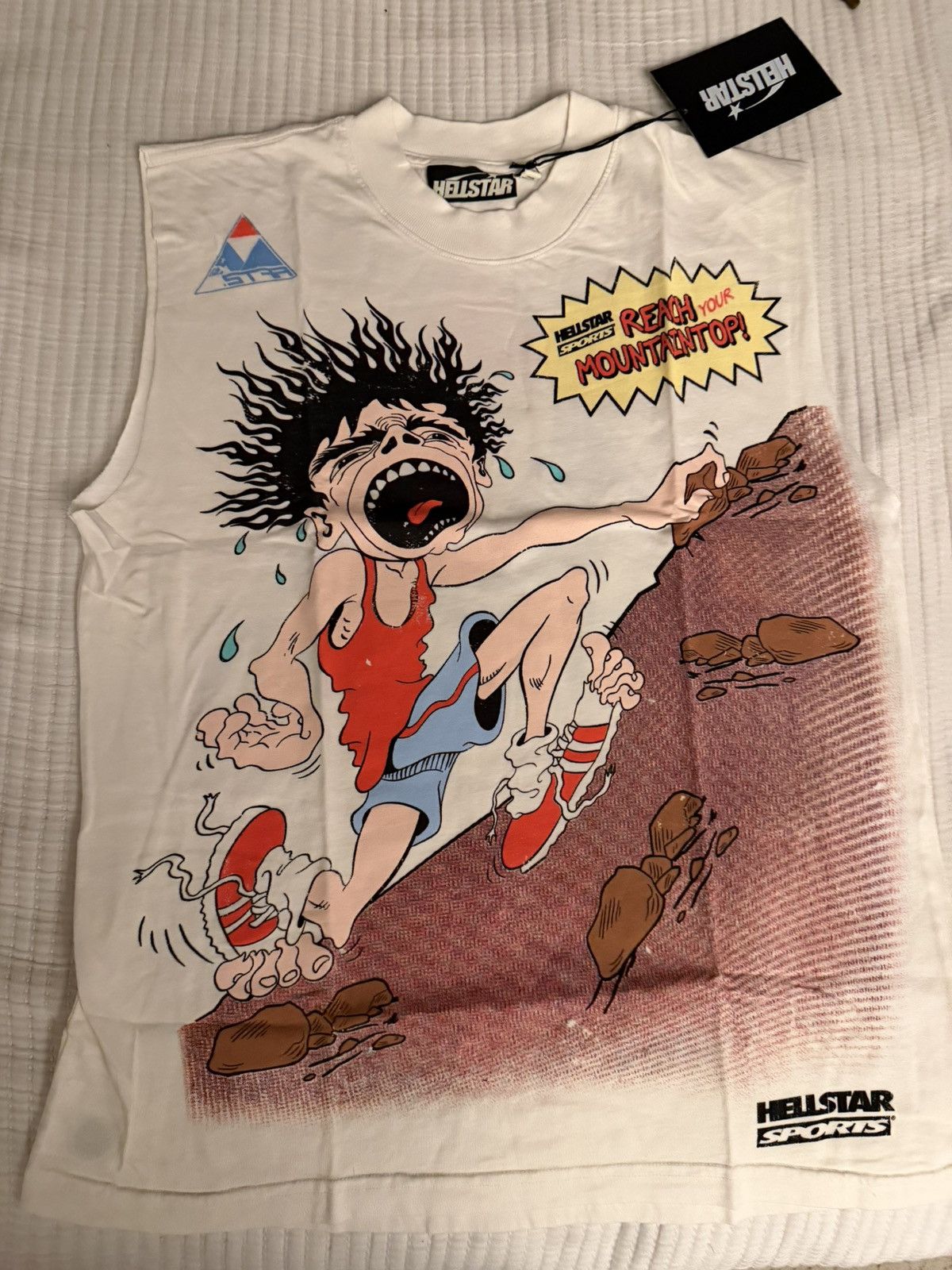 Hellstar reach mountaintop t shirt (cutoff)
