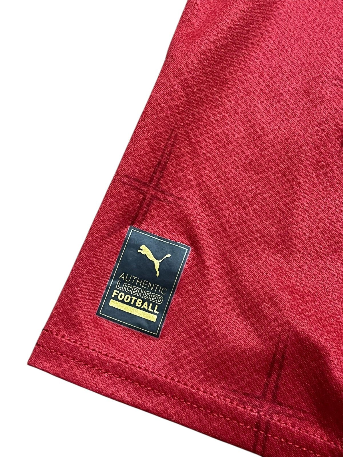 Puma Puma fifa world cup Serbia national team soccer jersey Size US XXL / EU 58 / 5 - 3 Thumbnail