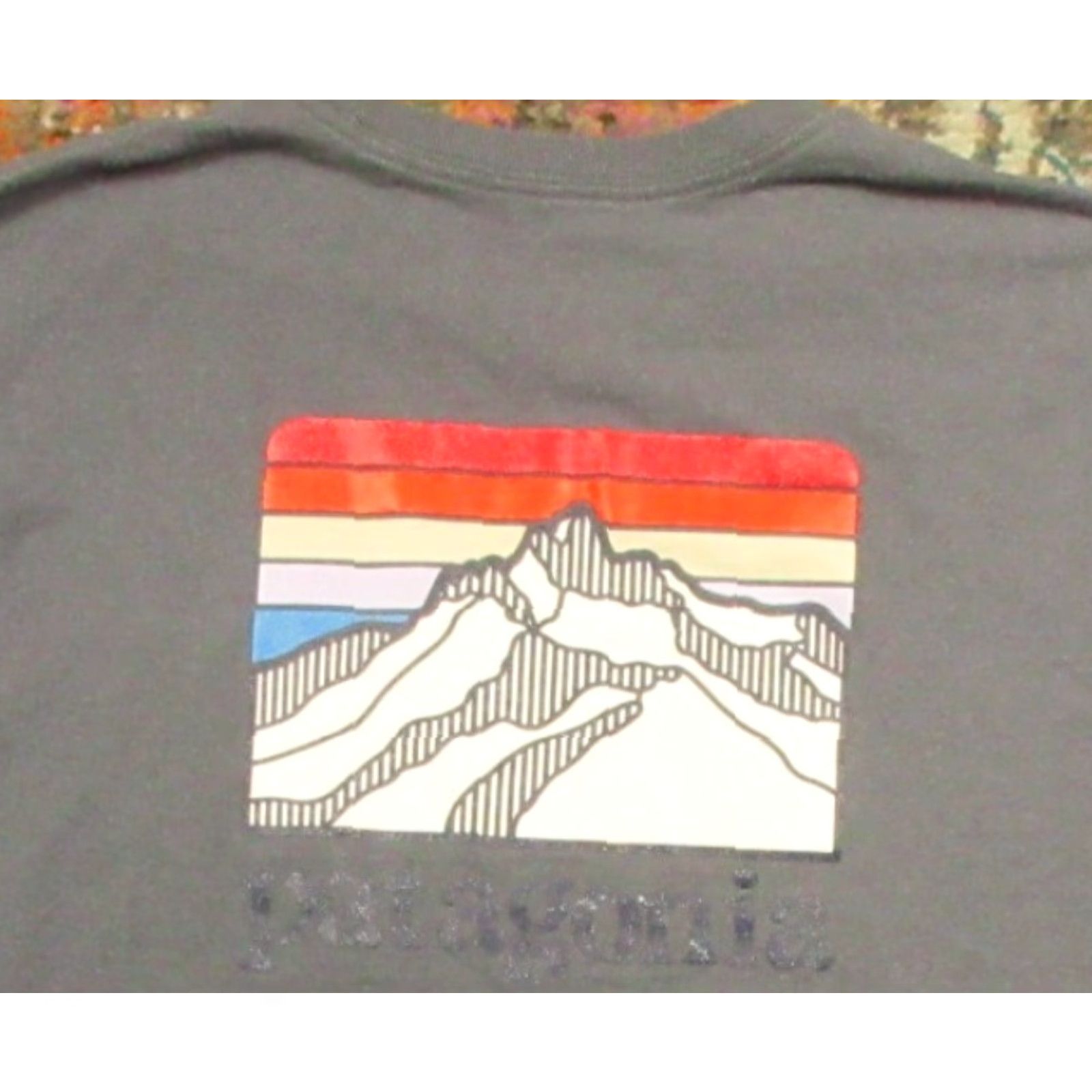 Patagonia Patagonia T-Shirt Mens Gray Short Sleeve Pocket Logo Lightweight Breathable Regular Fit Crew Neck Shirt Size US L / EU 52-54 / 3 - 3 Thumbnail