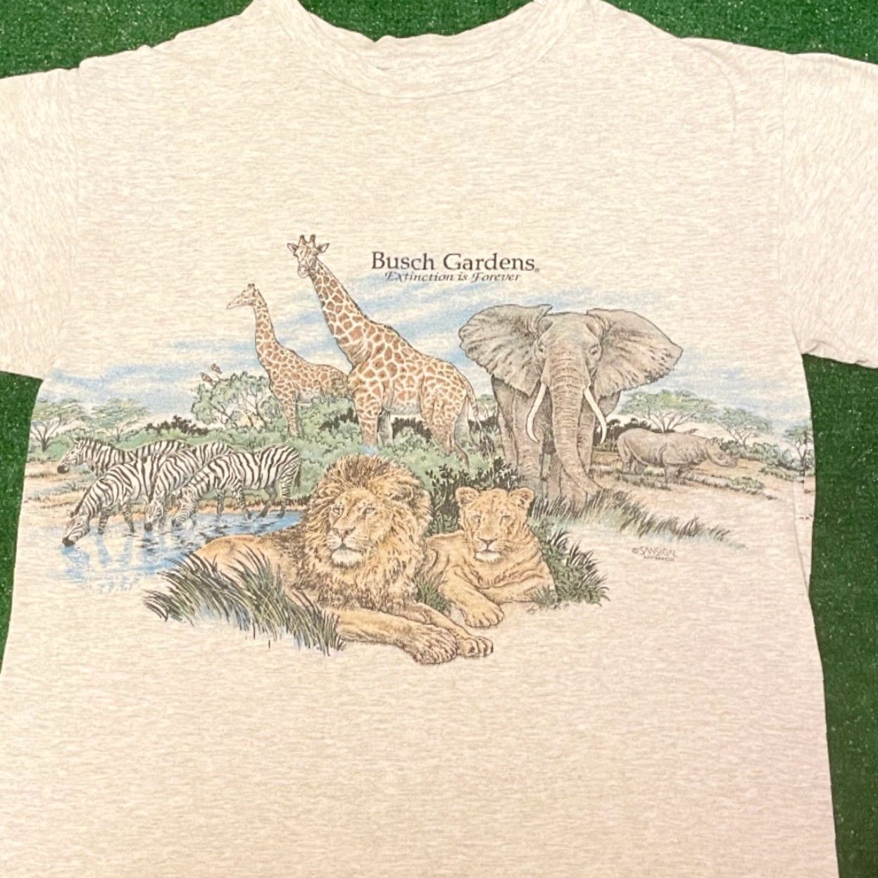 Vintage VINTAGE Busch Gardens Theme Park Extinction Nature Double Side Shirt Mens L Gray 90s Animals Nature 1990s Mens T-Shirt Size US L / EU 52-54 / 3 - 4 Thumbnail