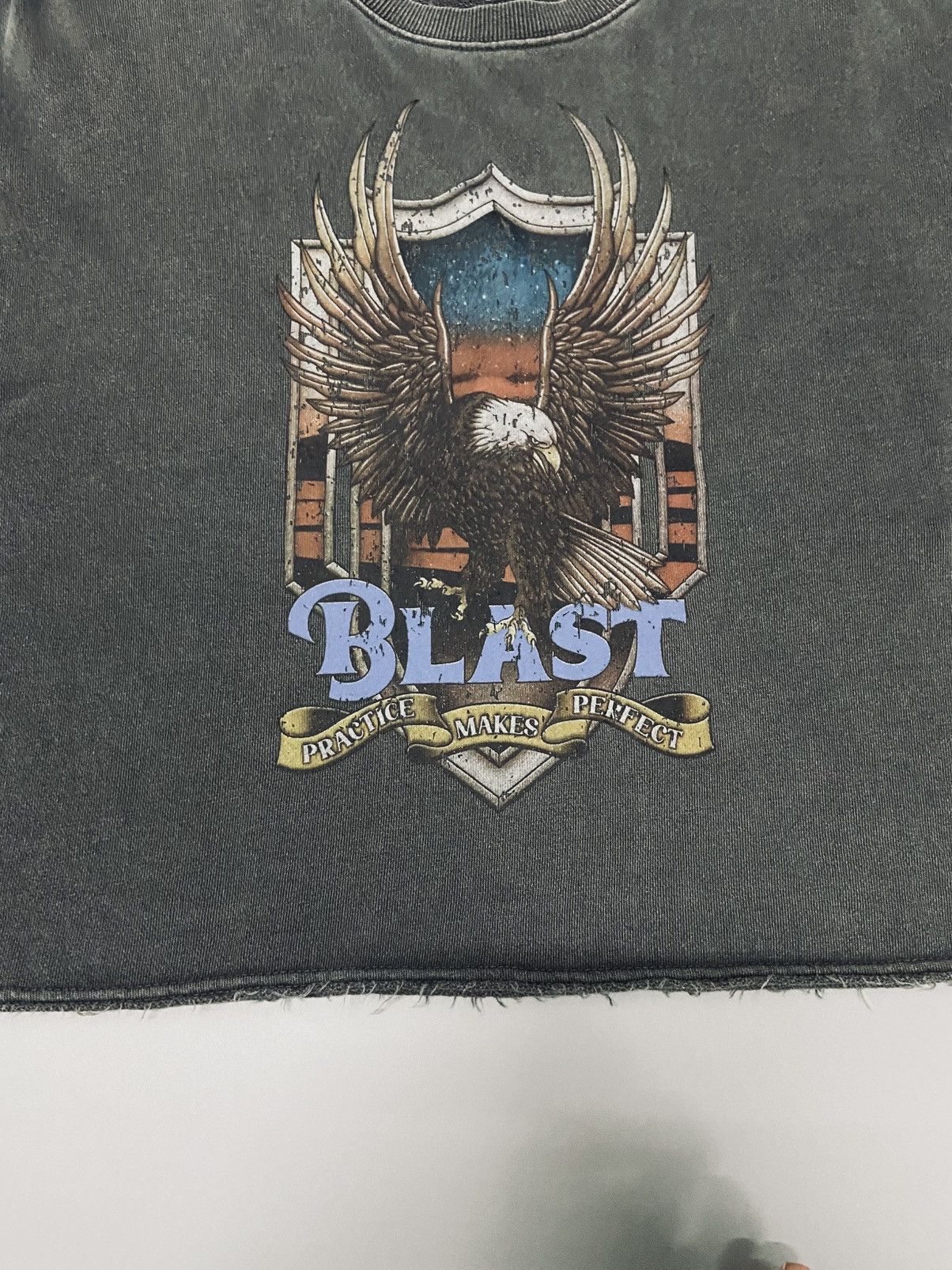 Other BLAST Eagle Graphic Cropped CREW NECK SWEATSHIRT Size M / US 6-8 / IT 42-44 - 11 Thumbnail