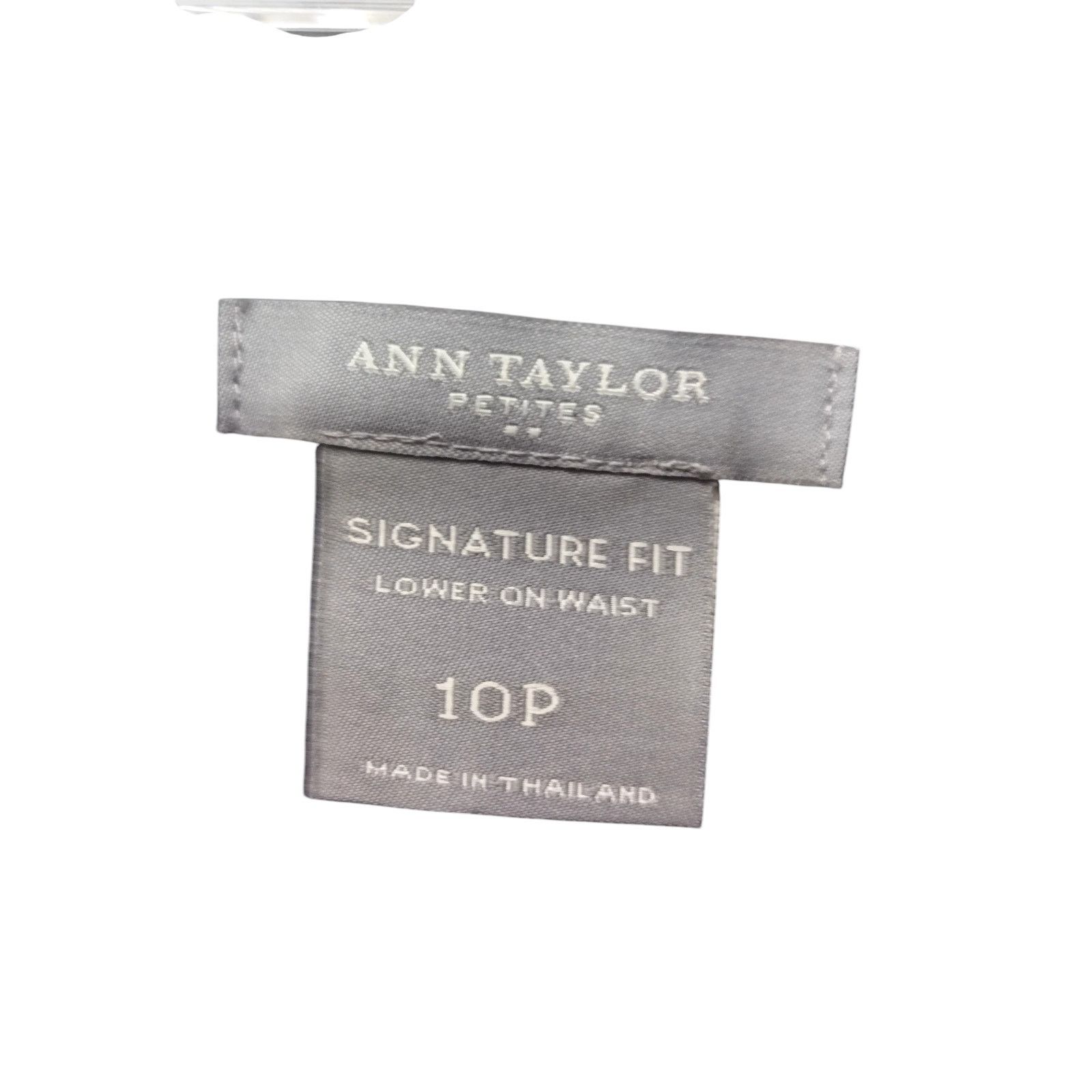 Ann Taylor Ann Taylor Dress Pants Fit Bootcut Smoke Gray Sz 10P Size 32" / US 10 / IT 46 - 11 Thumbnail
