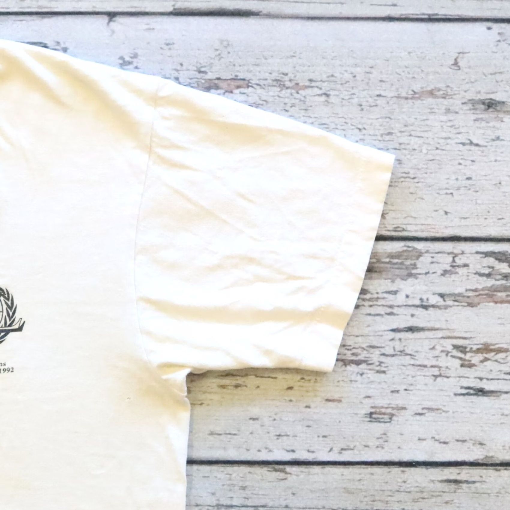 Fruit Of The Loom VINTAGE UC Berkeley Model United Nations Calvin and Hobbes Tshirt Tee Shirt Shirt Mens L White Calvin and Hobbes Tshirt Tee Shirt MUN Berkeley 90s Size US L / EU 52-54 / 3 - 6 Thumbnail