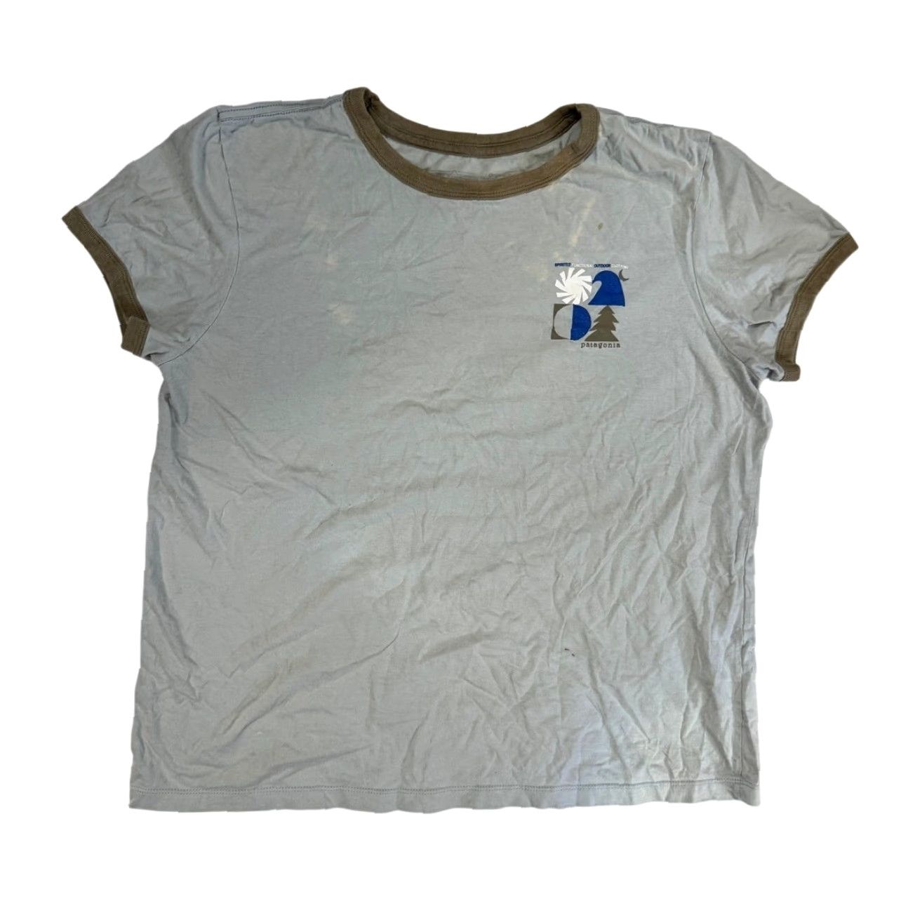 Patagonia Patagonia Women's Logo Organic Cotton T-Shirt Light Green Gray Size L Size L / US 10 / IT 46 - 2 Thumbnail