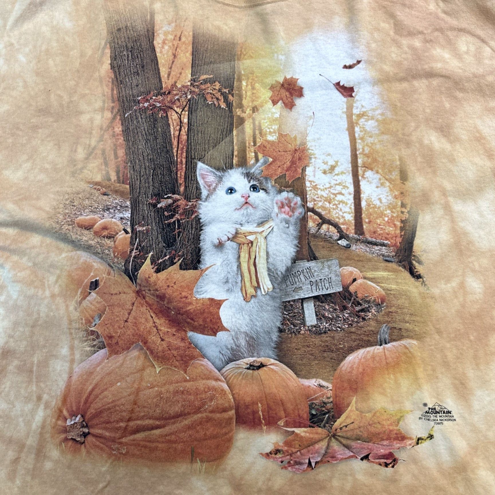 The Mountain VINTAGE Y2K Kitten Cat Pumpkin Patch Fall Forest Burnt Orange Tye Dye T-Shirt 3XL 2015 Size US XXL / EU 58 / 5 - 2 Thumbnail