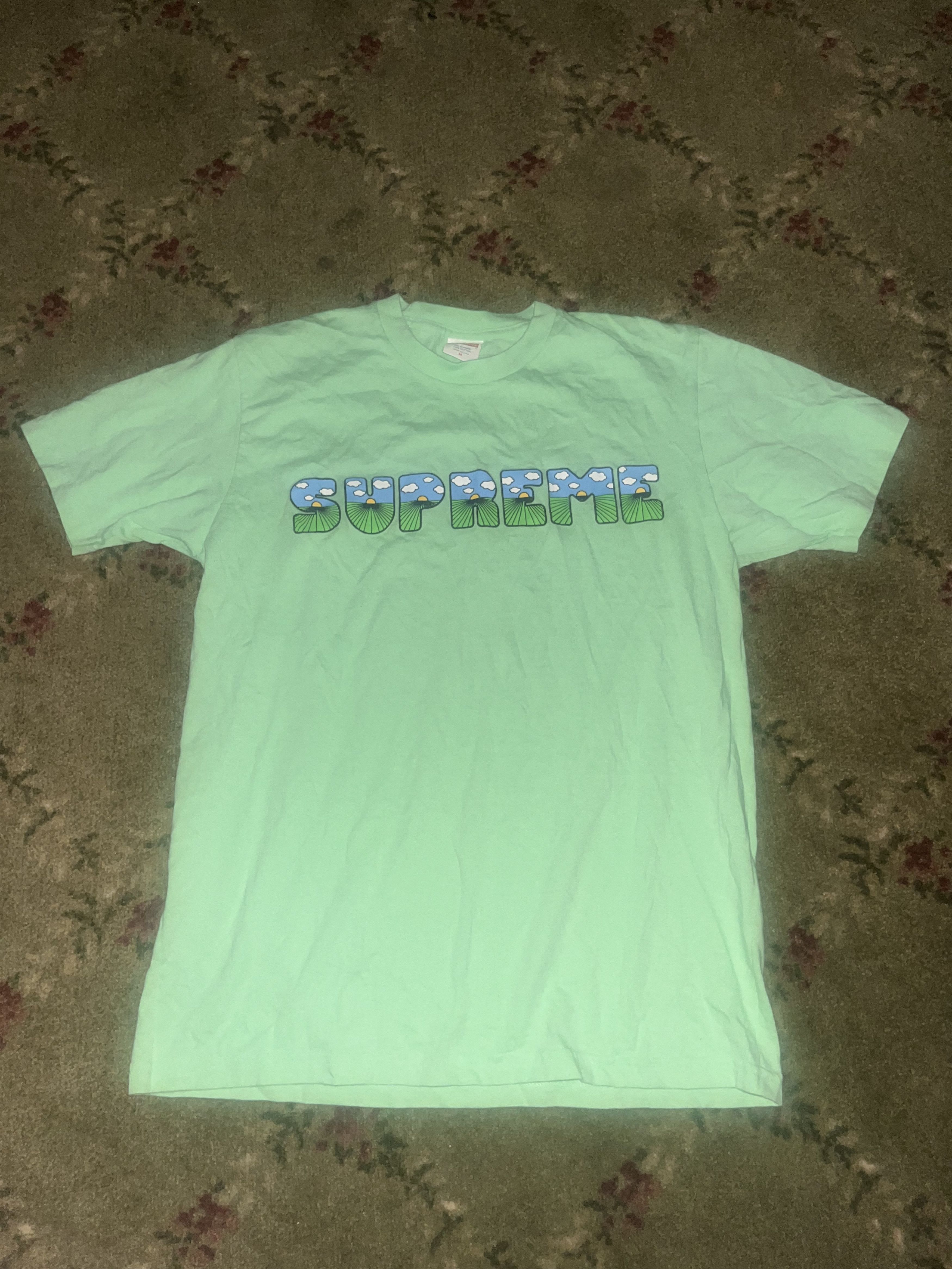 Supreme SS16 Supreme Mint This the 💩 Tee Size US M / EU 48-50 / 2 - 2 Thumbnail
