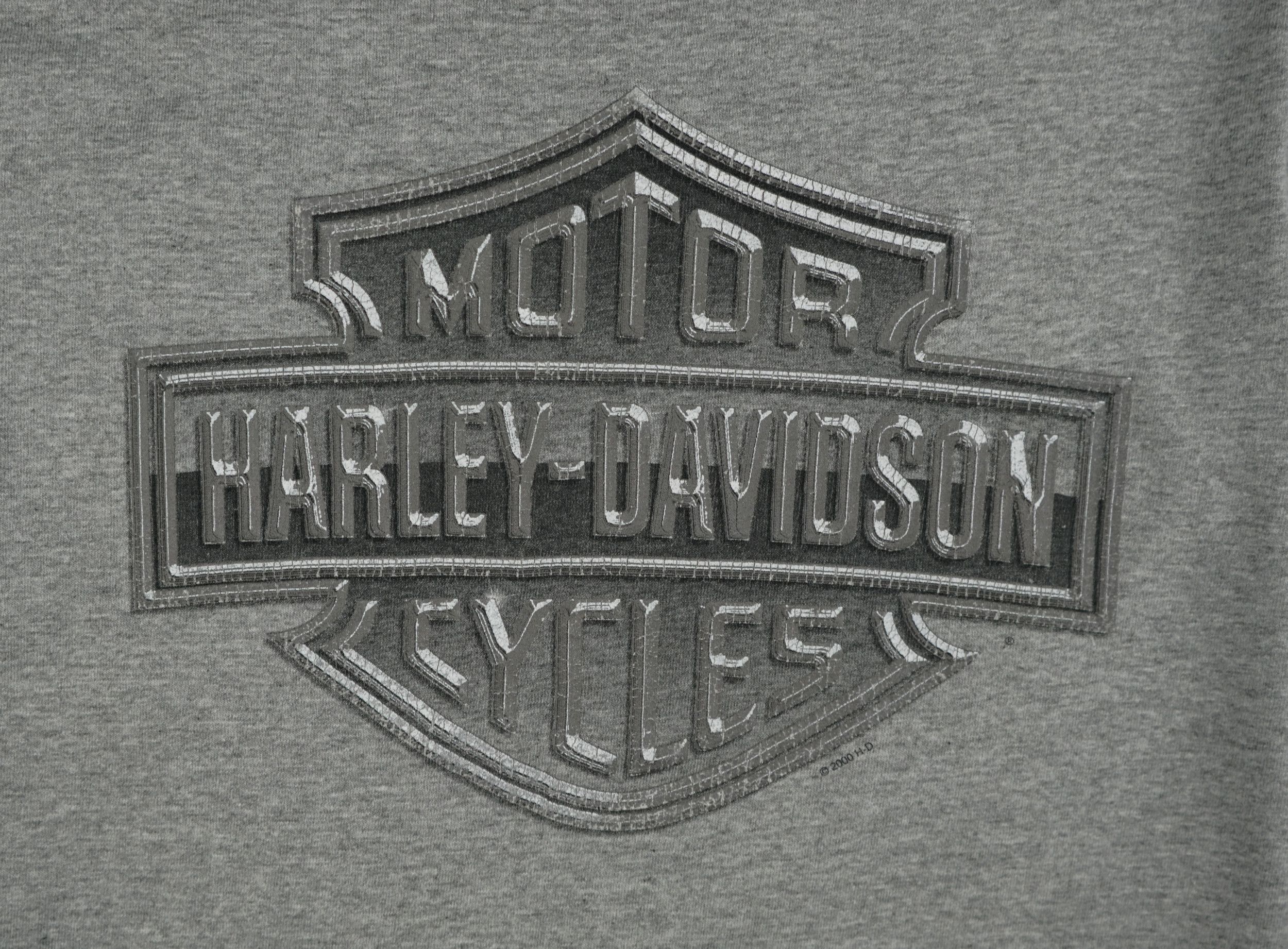Harley Davidson × Vintage Vintage 2000s Harley-Davidson Switzerland T-Shirt Size US S / EU 44-46 / 1 - 2 Thumbnail