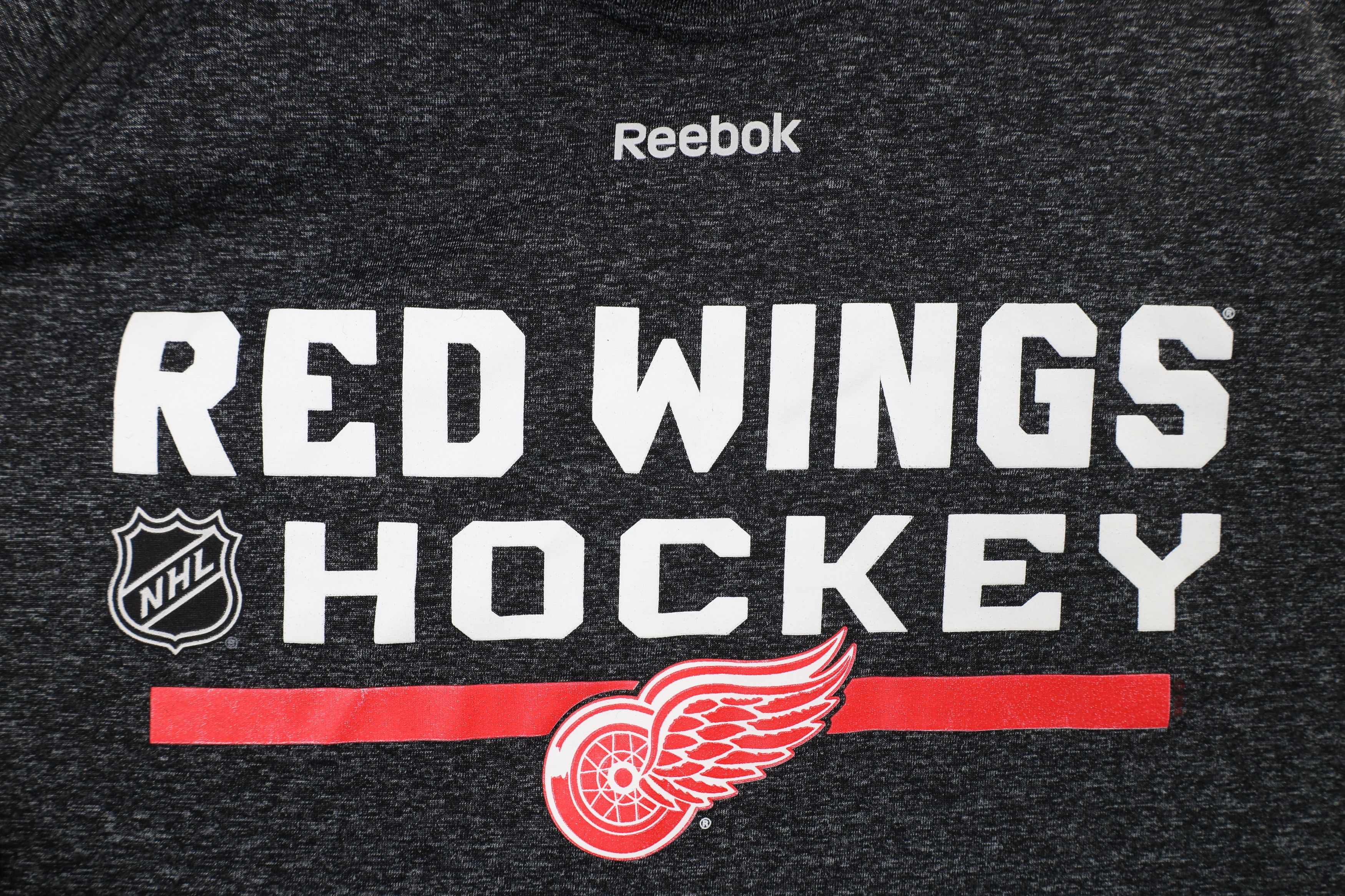 Reebok × Vintage Reebok Detroit Red Wings Hockey Long Sleeve T-Shirt Gray Size US L / EU 52-54 / 3 - 4 Thumbnail