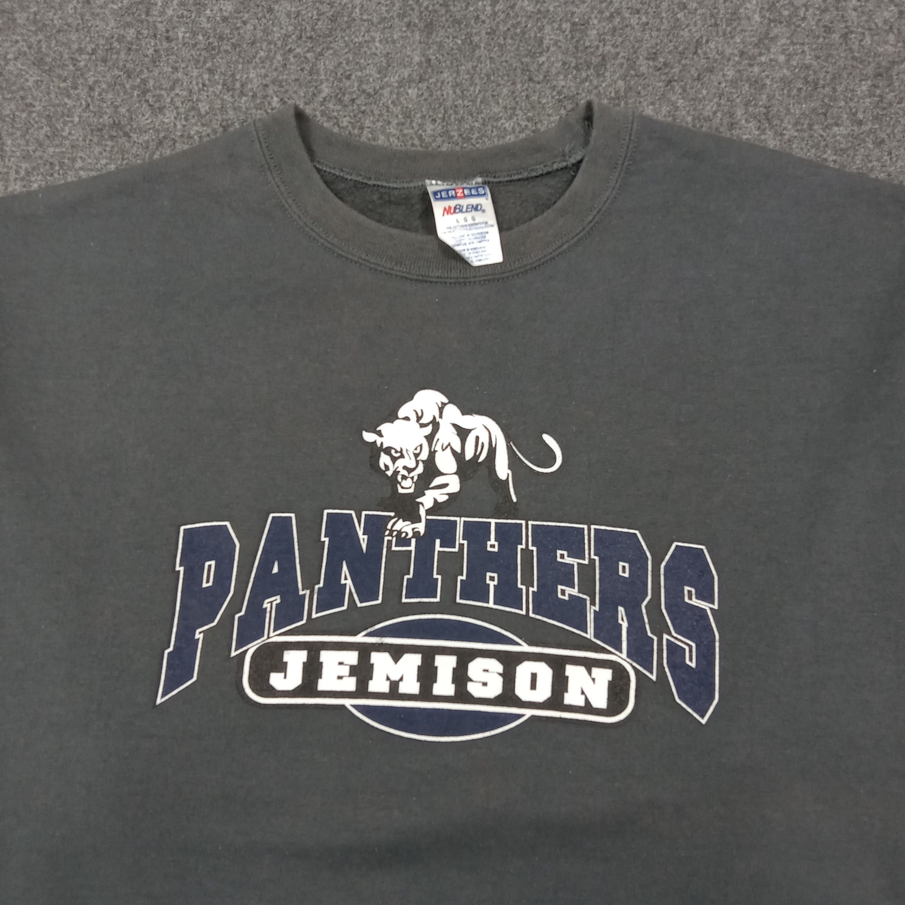 Jerzees Panthers D'Shawn Jamison NFL Sweatshirt C270N3 Size US L / EU 52-54 / 3 - 2 Thumbnail