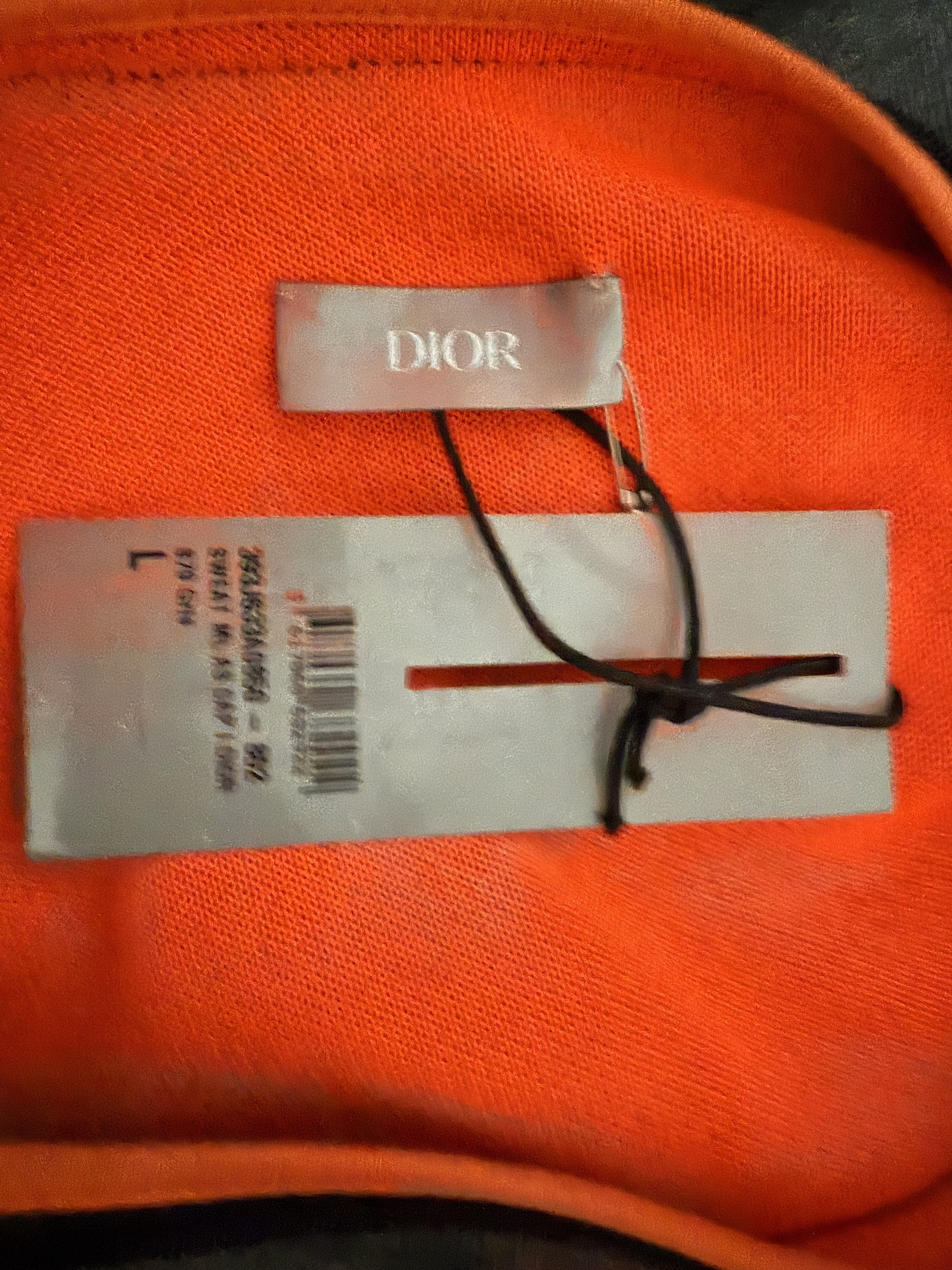 Dior Logo Hooded Sweatshirt Detachable Sleeves Size US L / EU 52-54 / 3 - 9 Thumbnail