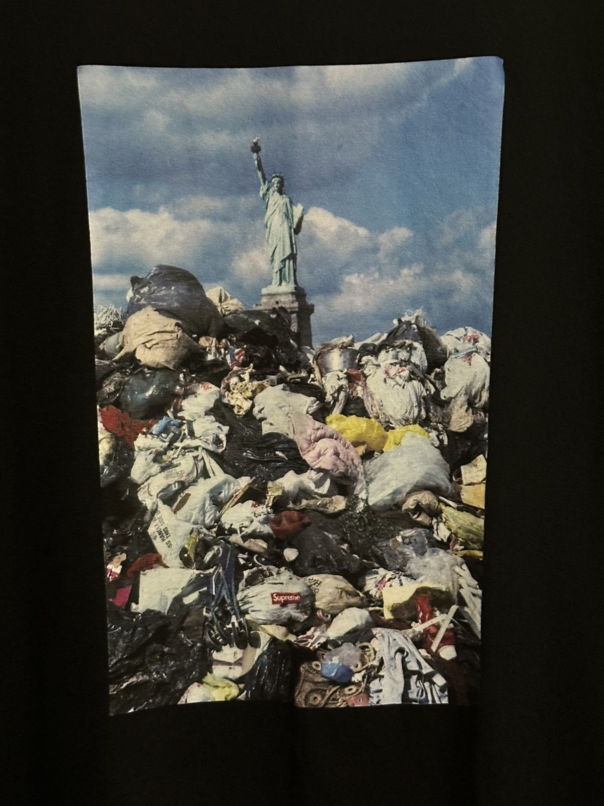 Supreme Supreme Trash Tee Size US L / EU 52-54 / 3 - 2 Thumbnail