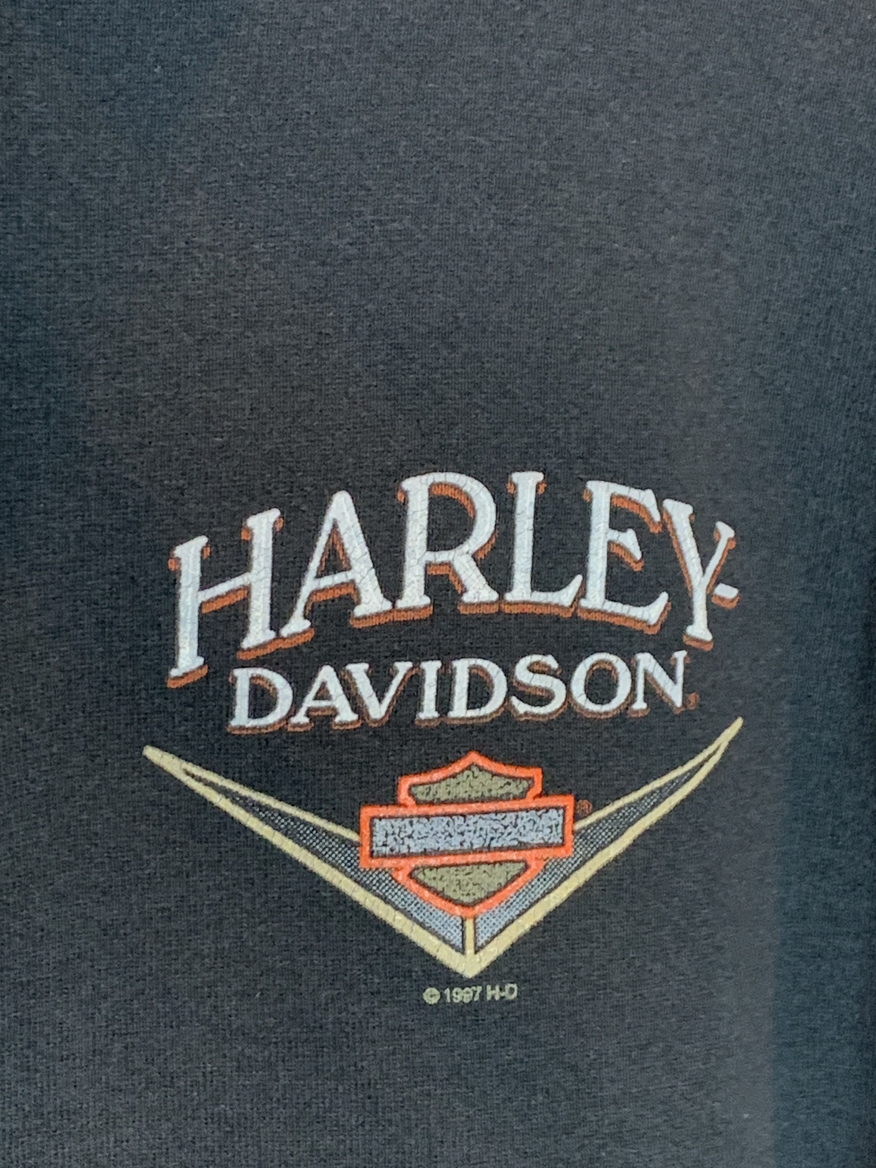 Harley Davidson RARE Vintage 90s Harley Davidson Moto Quarter Zip Sweatshirt Size US L / EU 52-54 / 3 - 5 Thumbnail