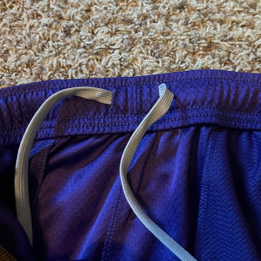 Nike Nike Minnesota Vikings Purple Broadcast Shorts Size US 32 / EU 48 - 9 Thumbnail