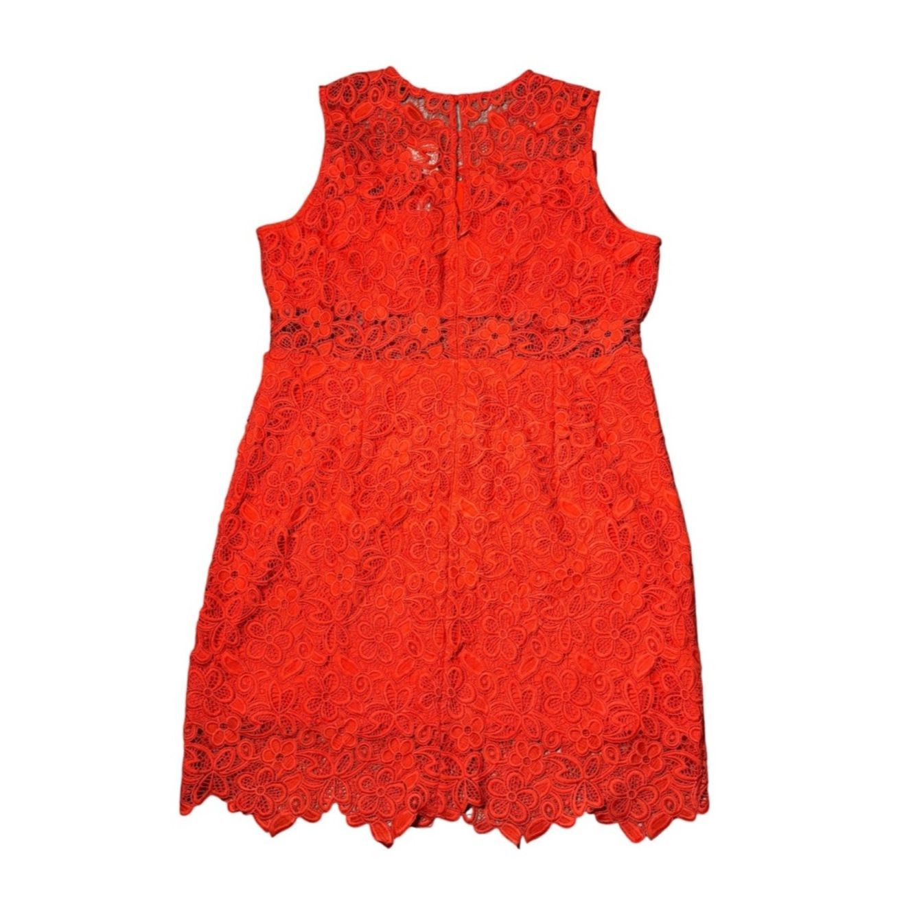 Hutch NWT New $238 Hutch Floral Lace Sheer Mini Dress Size 18W Size XXL / US 16-18 / IT 52-54 - 4 Thumbnail