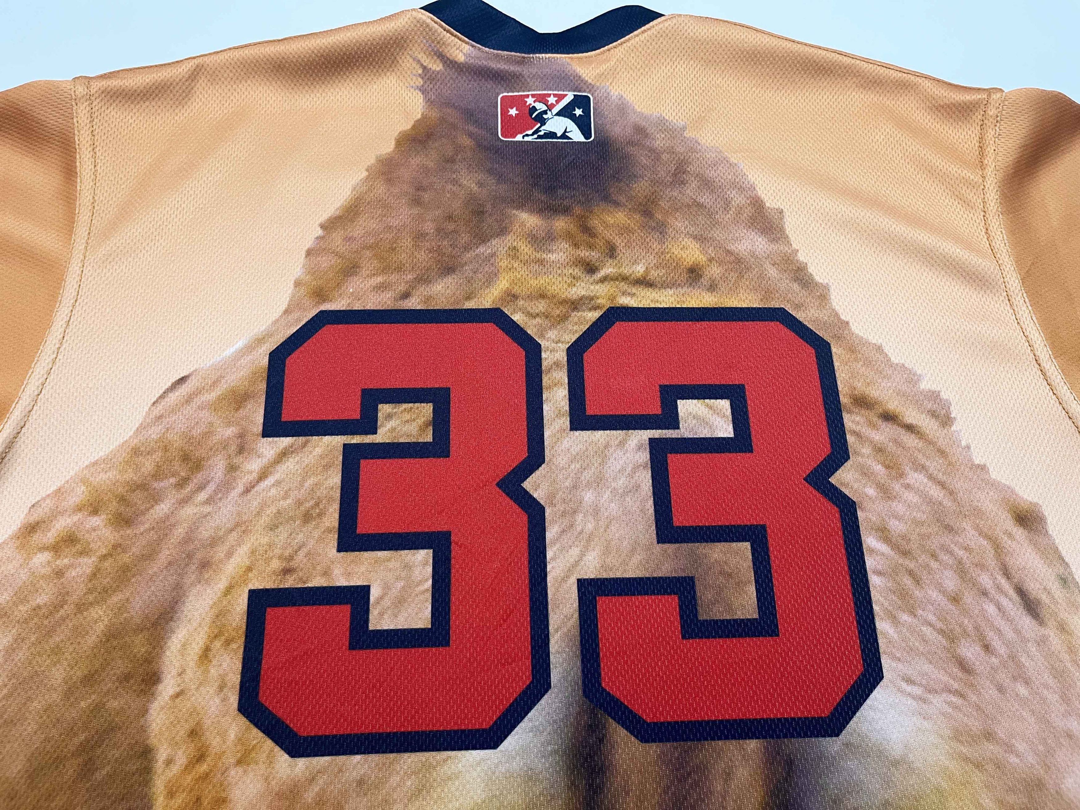 Vintage OT Sports MiLB Portland Sea Dogs #33 Camel Baseball Jersey Size US L / EU 52-54 / 3 - 8 Thumbnail
