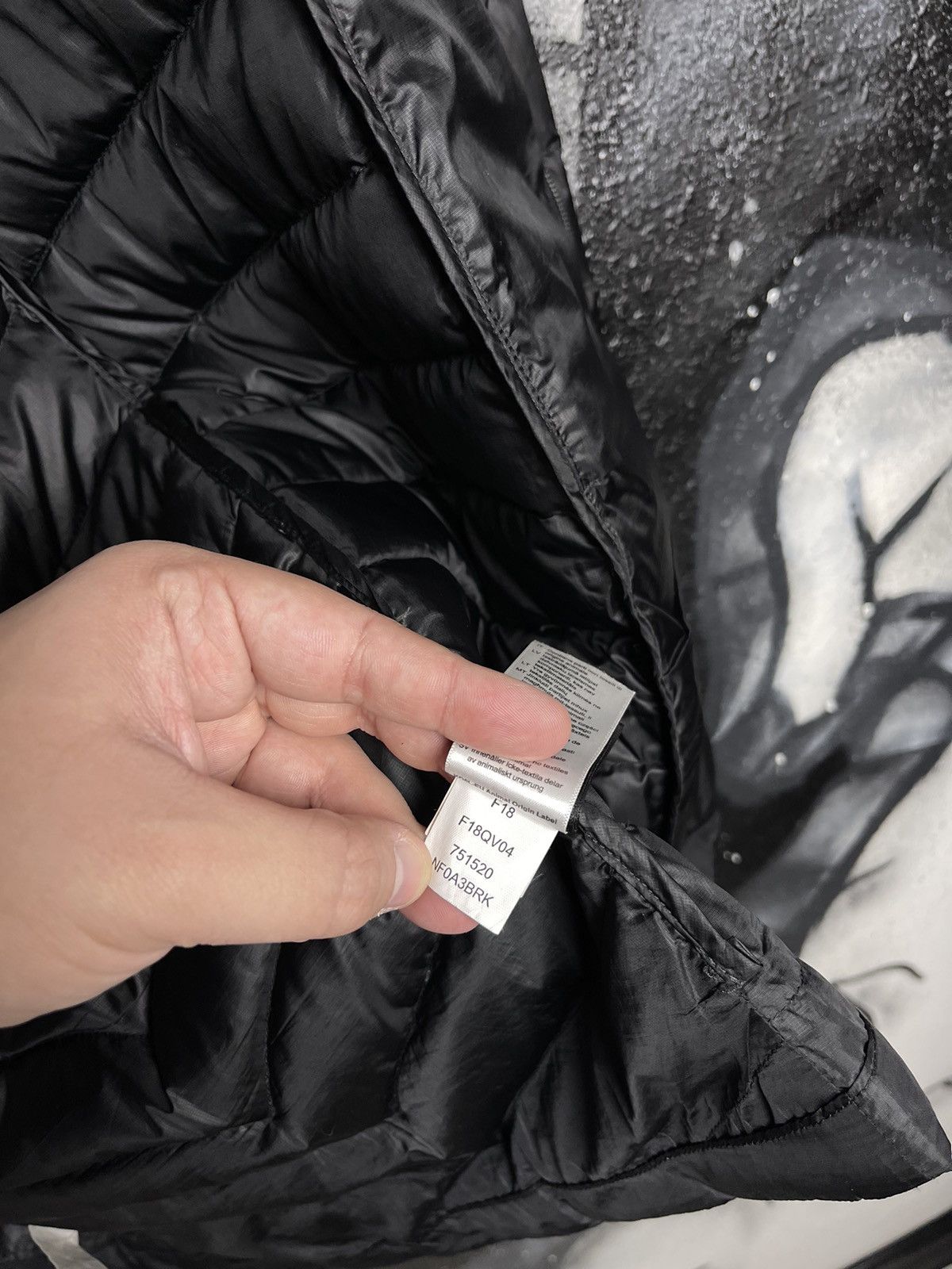 The North Face The North Face Trevail Down 800 Long Parka Size XS Size XS / US 0-2 / IT 36-38 - 13 Thumbnail