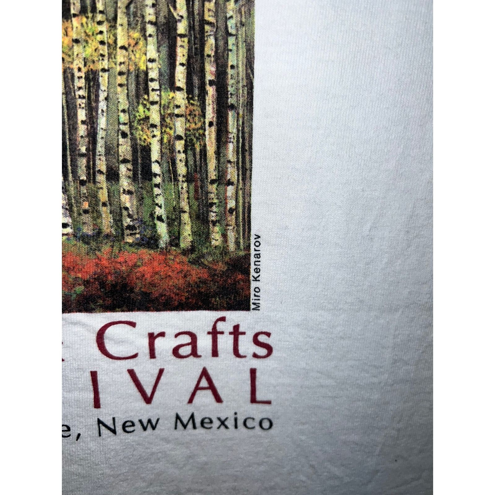 Port & Company Vintage Arts Festival Shirt Rio Grande Art Long Sleeve L Size US L / EU 52-54 / 3 - 5 Thumbnail