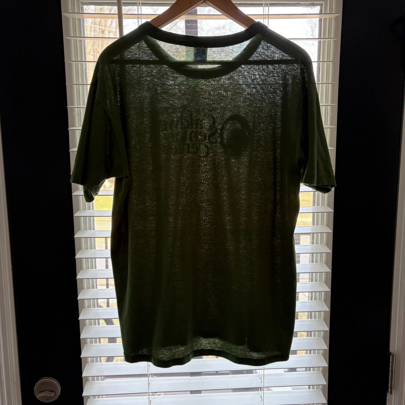 Russell Athletic × Vintage Vintage Paper Thin Burnout T-Shirt Size L 1980s Green Size US L / EU 52-54 / 3 - 7 Thumbnail