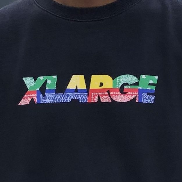 X-LARGE XLARGE PAISLEY STANDARD LOGO CREWNECK SWEATSHIRT Size US L / EU 52-54 / 3 - 3 Thumbnail