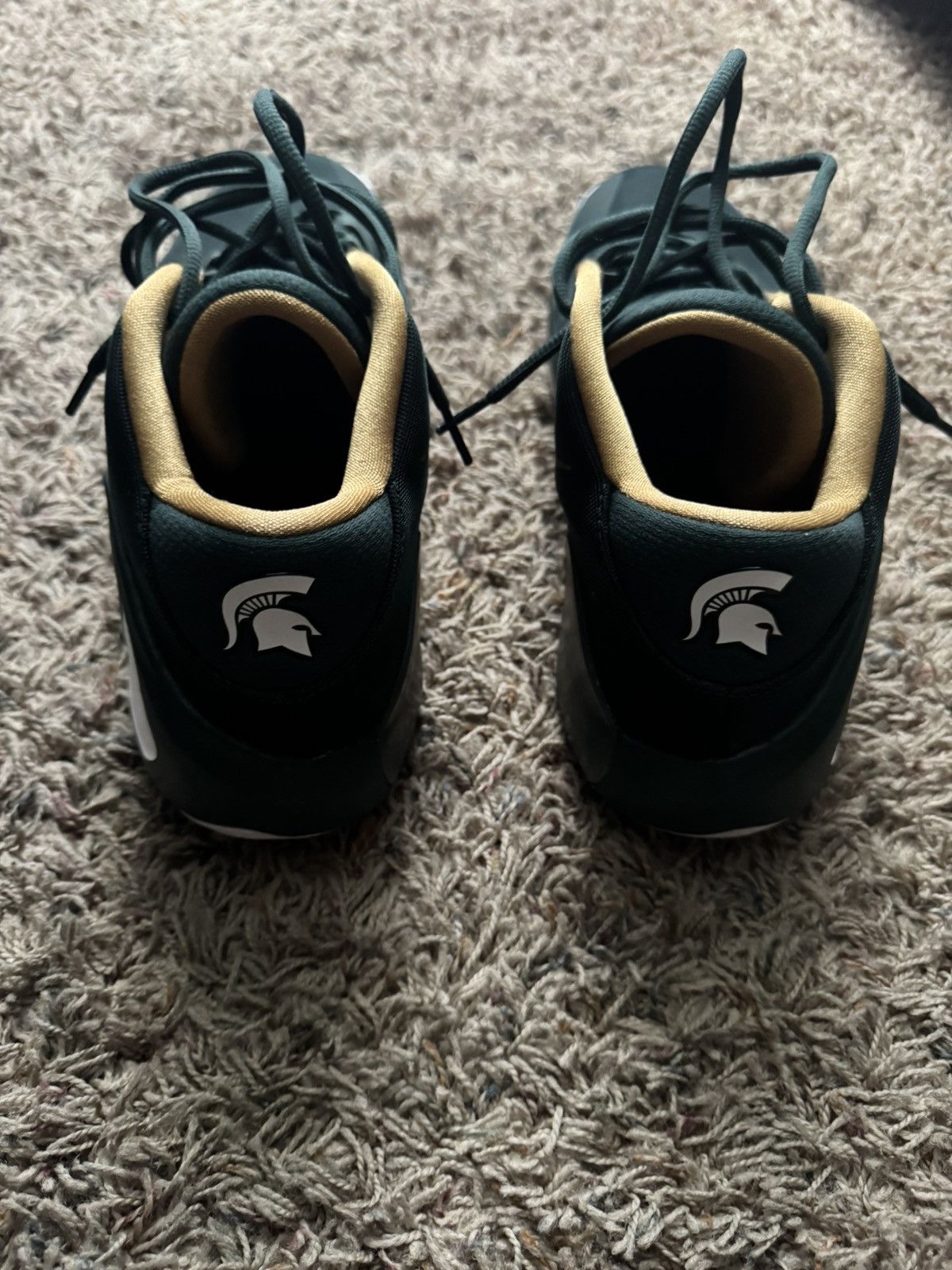 Hypebeast × Nike Zoom Freak 1 “Michigan State” PE Size US 14 / EU 47 - 4 Thumbnail