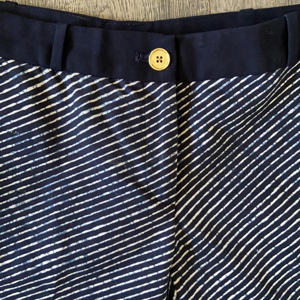 Michael Kors MICHAEL Michael Kors Blue Striped Crop Pants, 2 Size 26" / US 2 / IT 38 - 5 Thumbnail