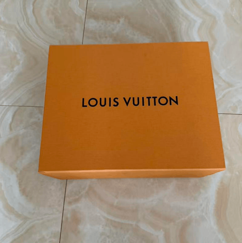 Louis Vuitton Louis Vuitton Low-Top Sneakers Size US 10 / EU 43 - 6 Thumbnail