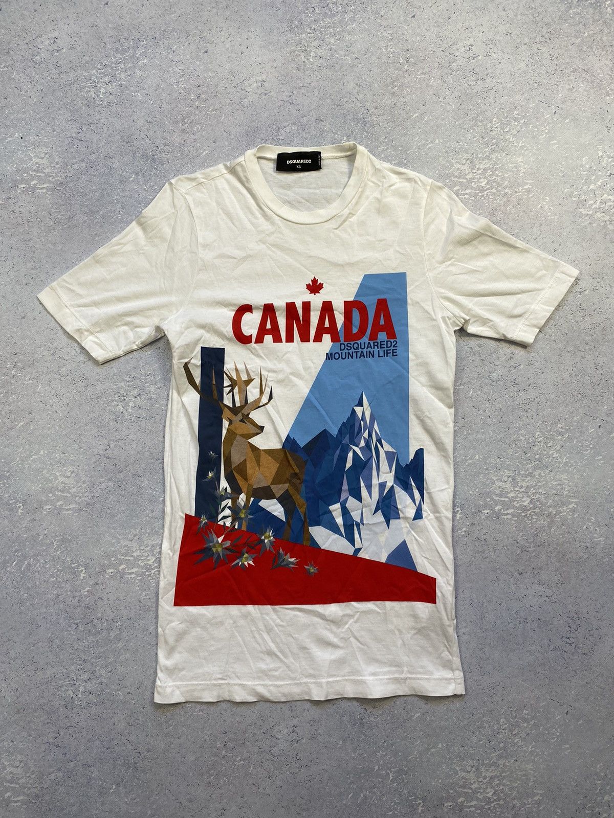 Dsquared2 Canada Mountain Life White T-shirt Size XS - Tops