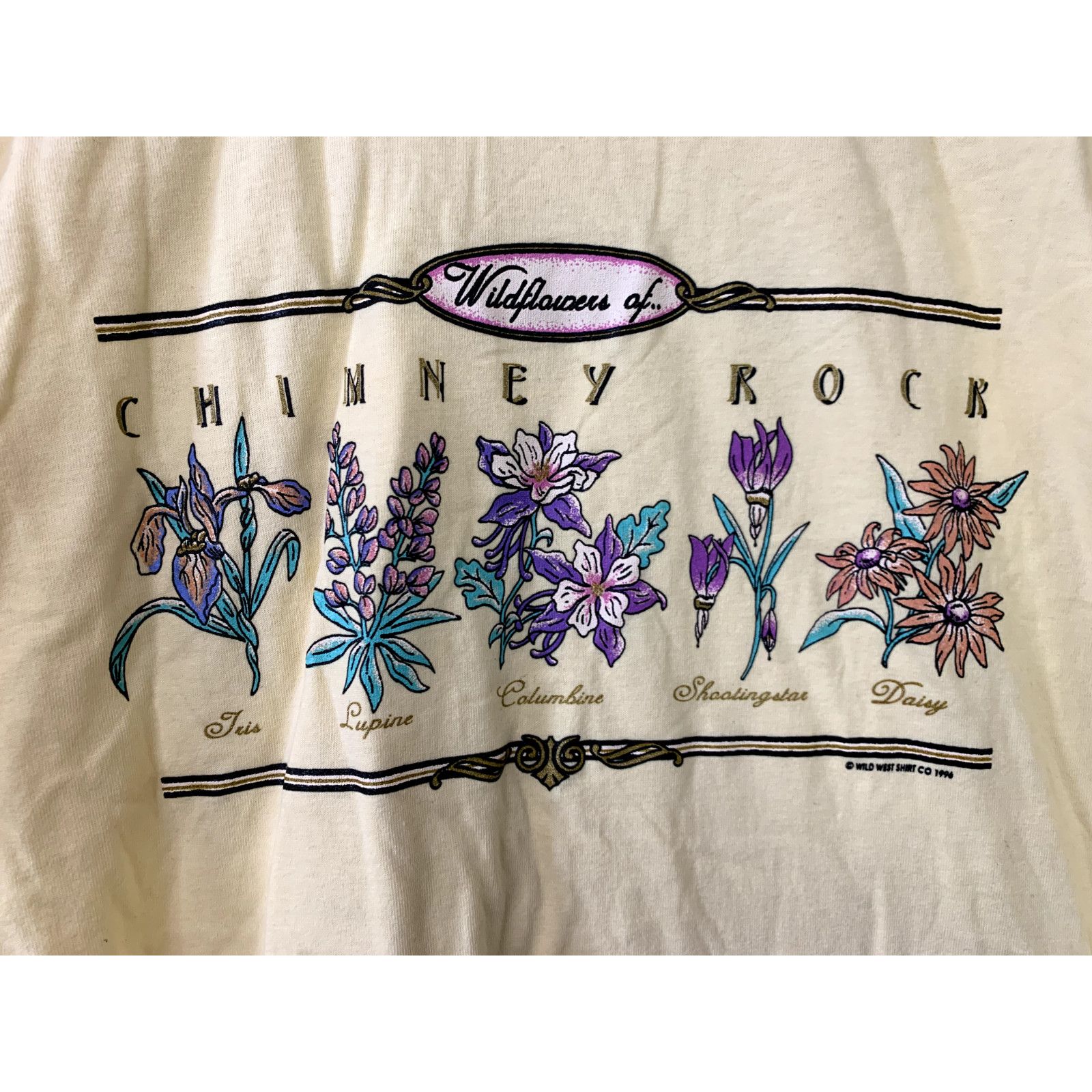 Jerzees Vintage Chimney Rock Shirt Tee Flower 1996 T-Shirt Medium Size US M / EU 48-50 / 2 - 2 Thumbnail