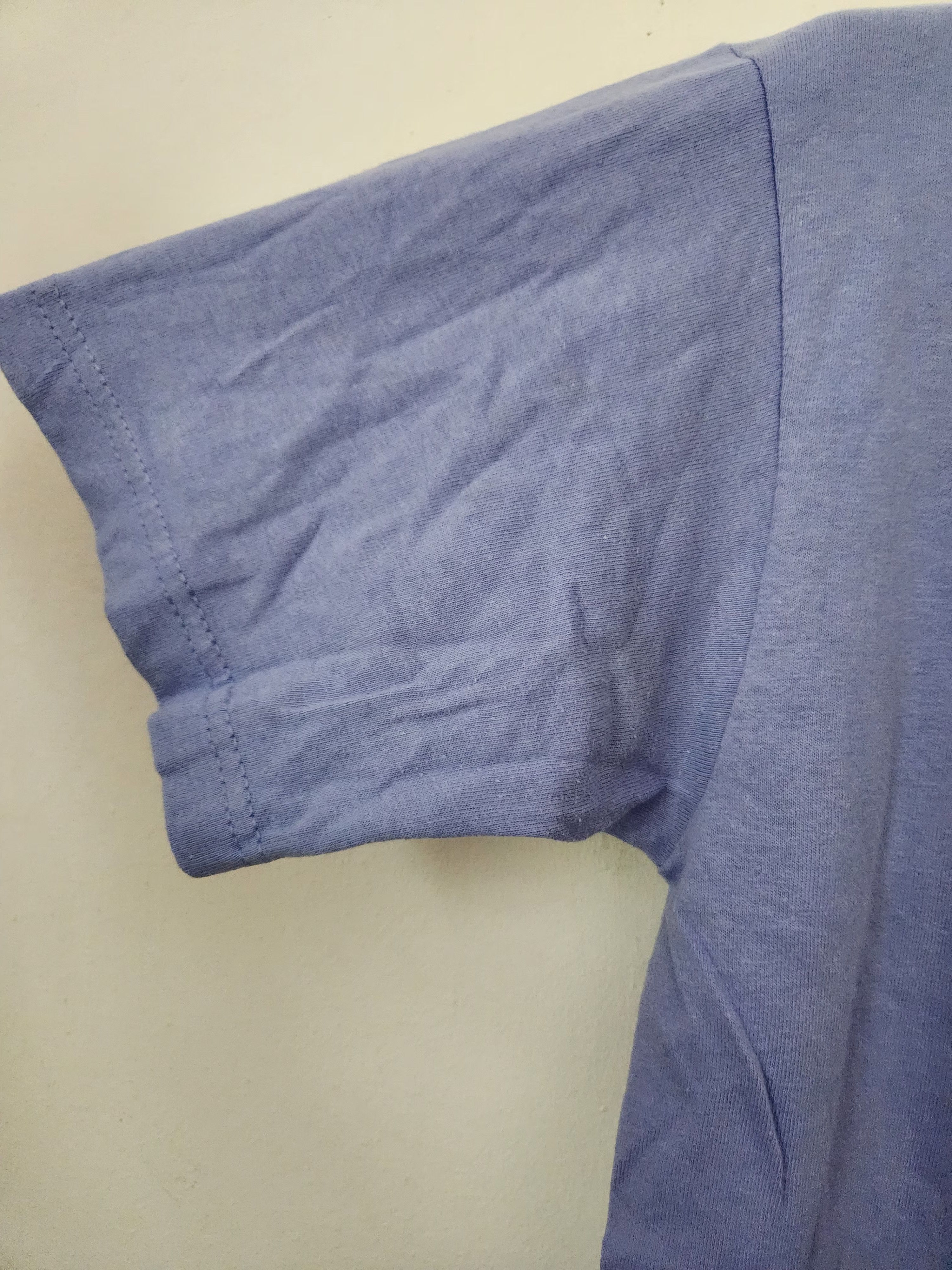 Anvil Anvil Fern Vintage Blue Tee Size US S / EU 44-46 / 1 - 5 Thumbnail