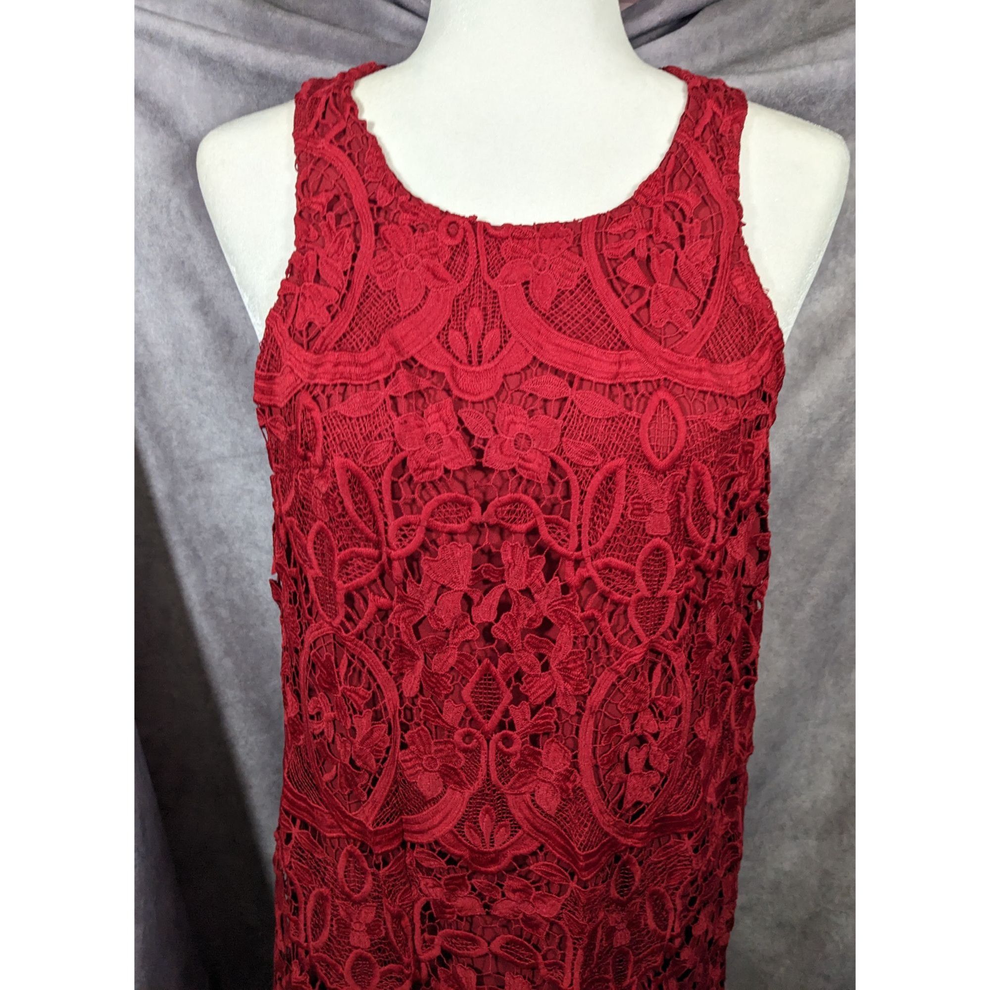 Lovers and Friends Lovers + Friends Caspian Red Lace Shift Dress Size Large Size L / US 10 / IT 46 - 7 Thumbnail
